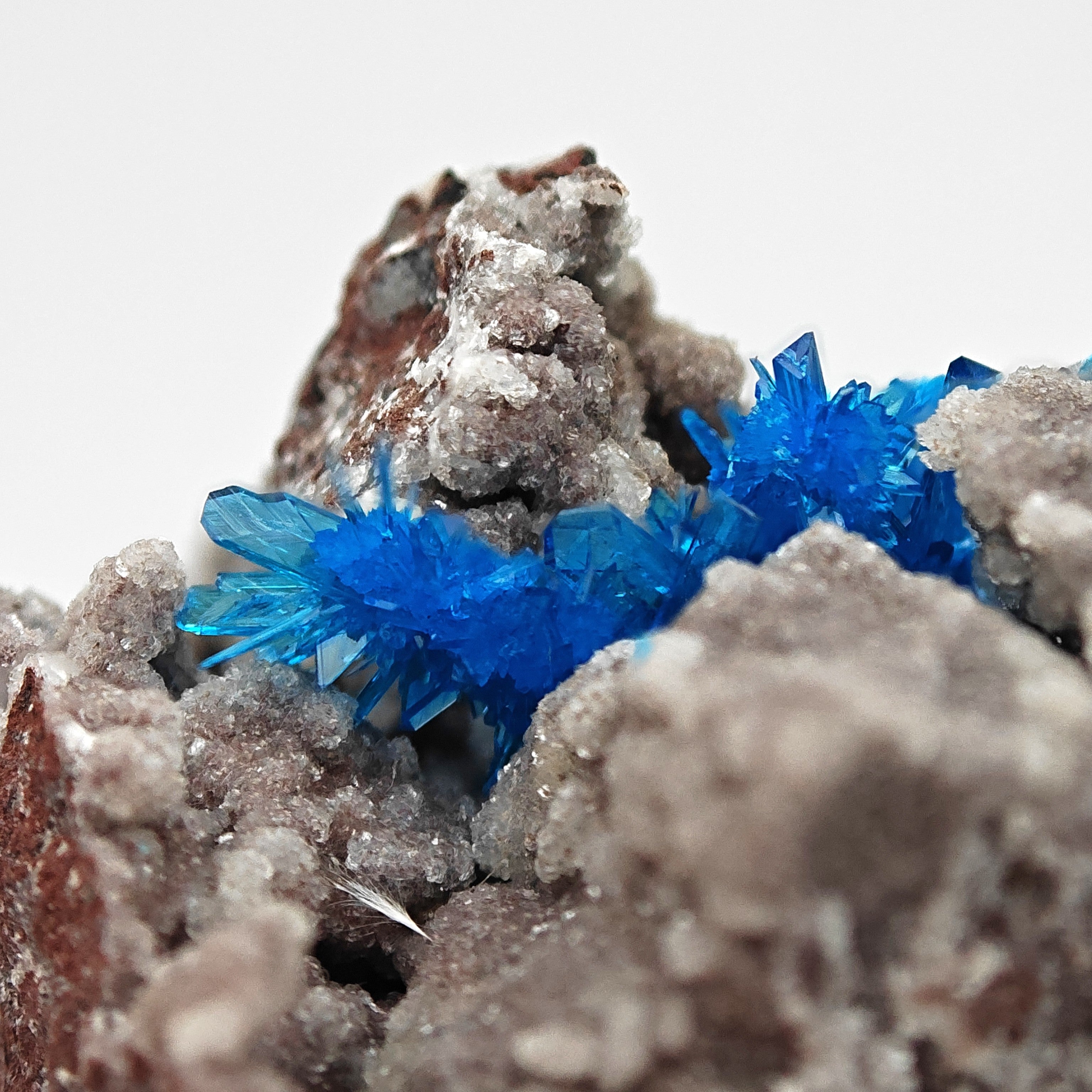PENTAGONITE – Electric Blue Fan-Shaped Crystal Spray, Wagholi, Pune, India