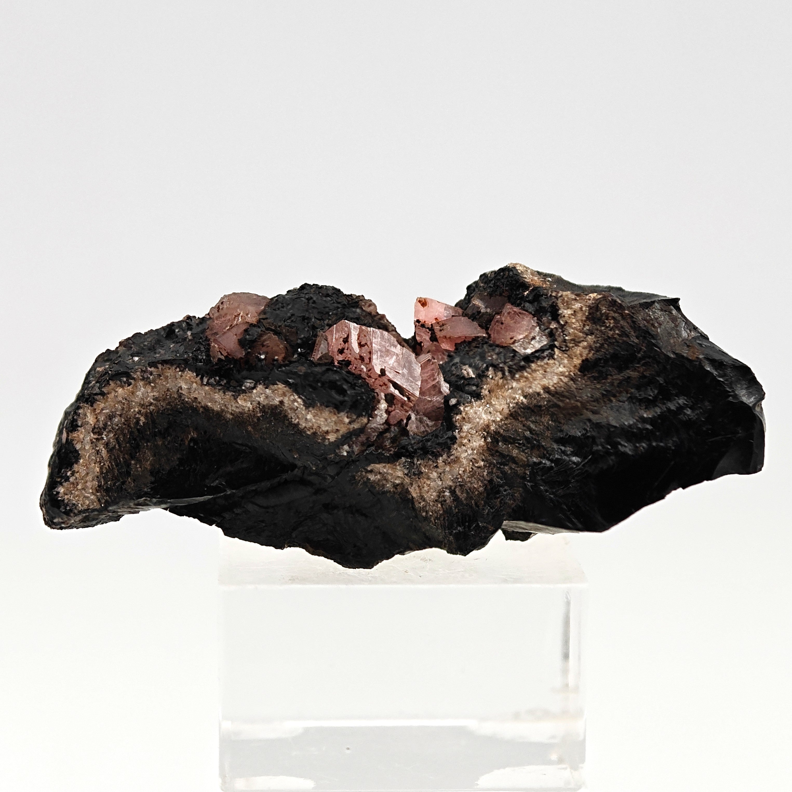 RHODOCHROSITE – Twinned Pink Crystals on Dark Matrix, Uchucchacua Mine, Peru