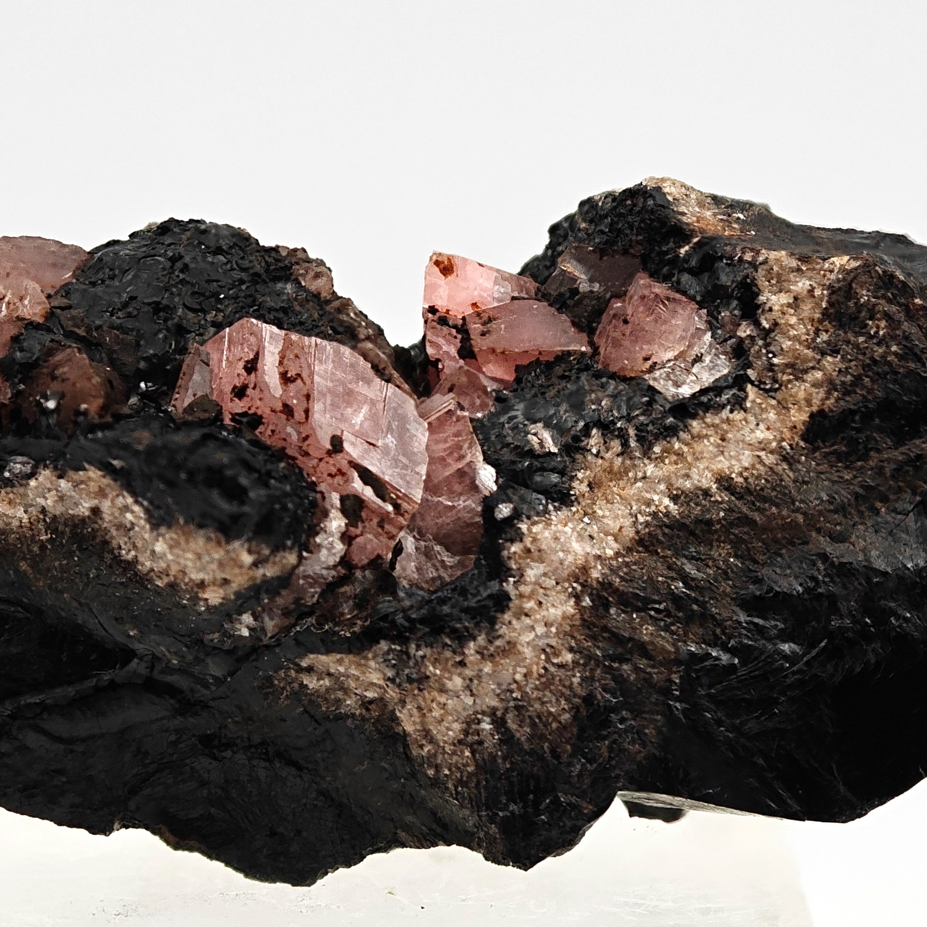 RHODOCHROSITE – Twinned Pink Crystals on Dark Matrix, Uchucchacua Mine, Peru