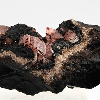 Detail of pink rhodochrosite crystal group on black matrix, Uchucchacua