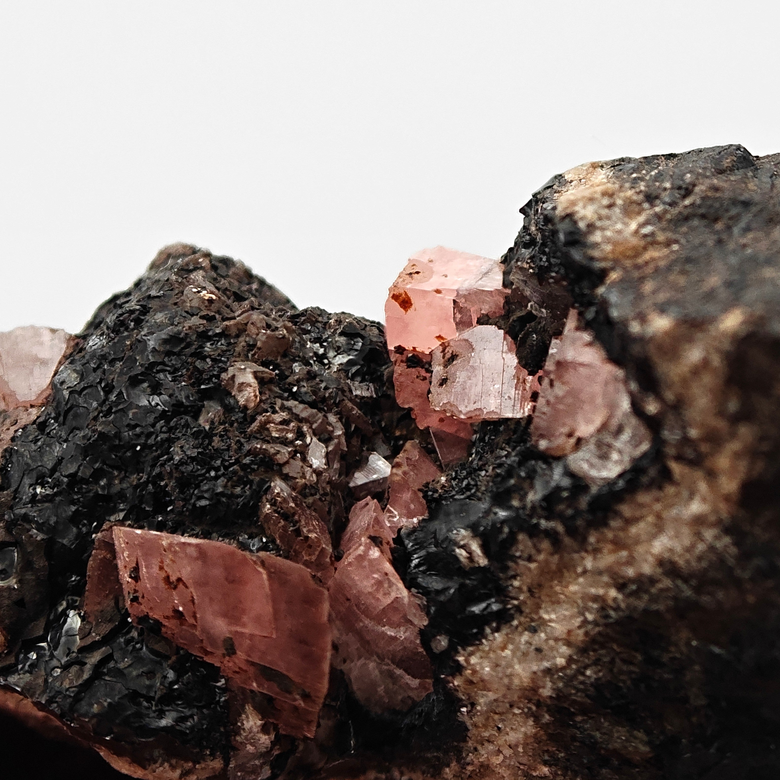 RHODOCHROSITE – Twinned Pink Crystals on Dark Matrix, Uchucchacua Mine, Peru