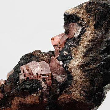 RHODOCHROSITE – Twinned Pink Crystals on Dark Matrix, Uchucchacua Mine, Peru