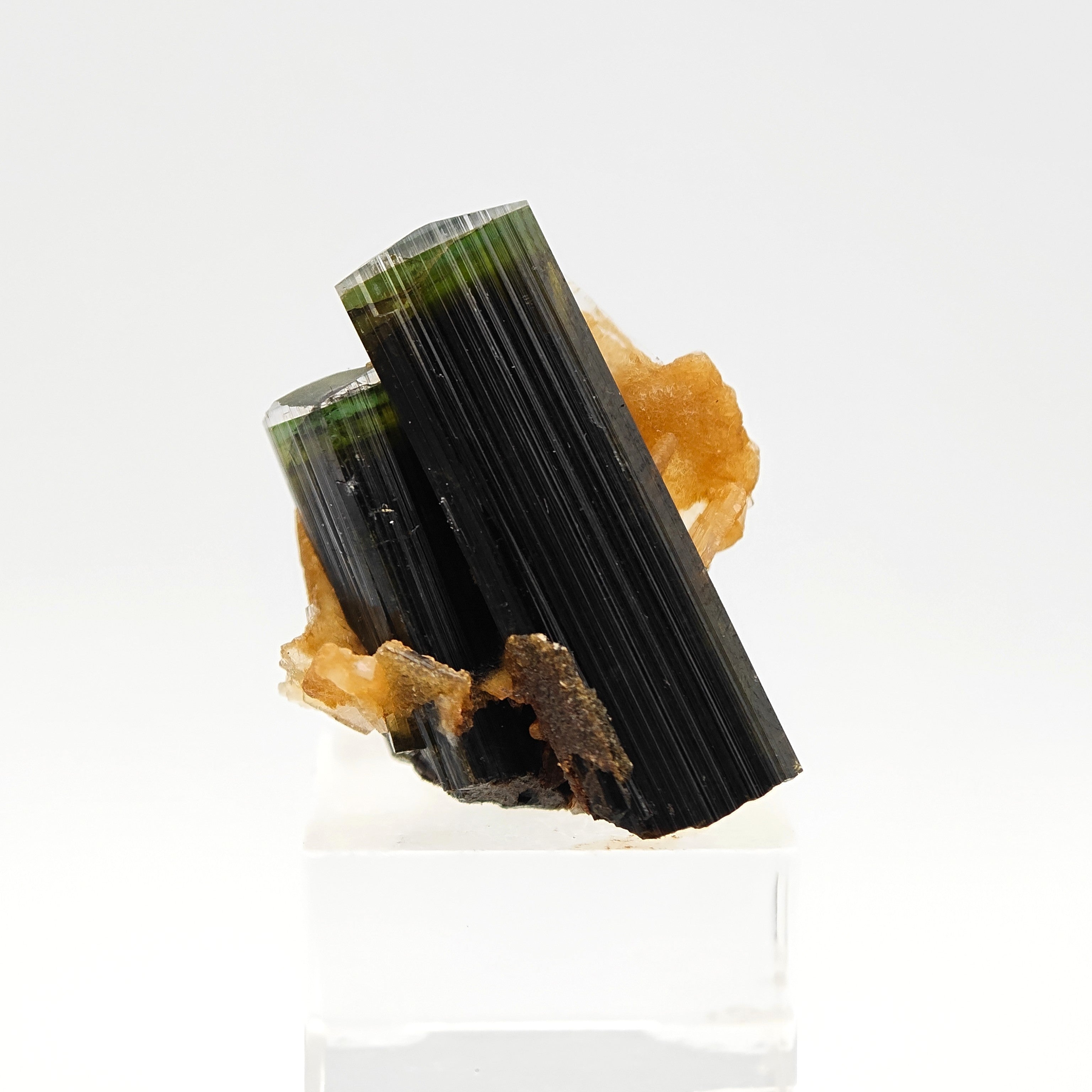 ELBAITE – Perfectly Terminated Green Tourmaline Crystal, Stak Nala, Pakistan