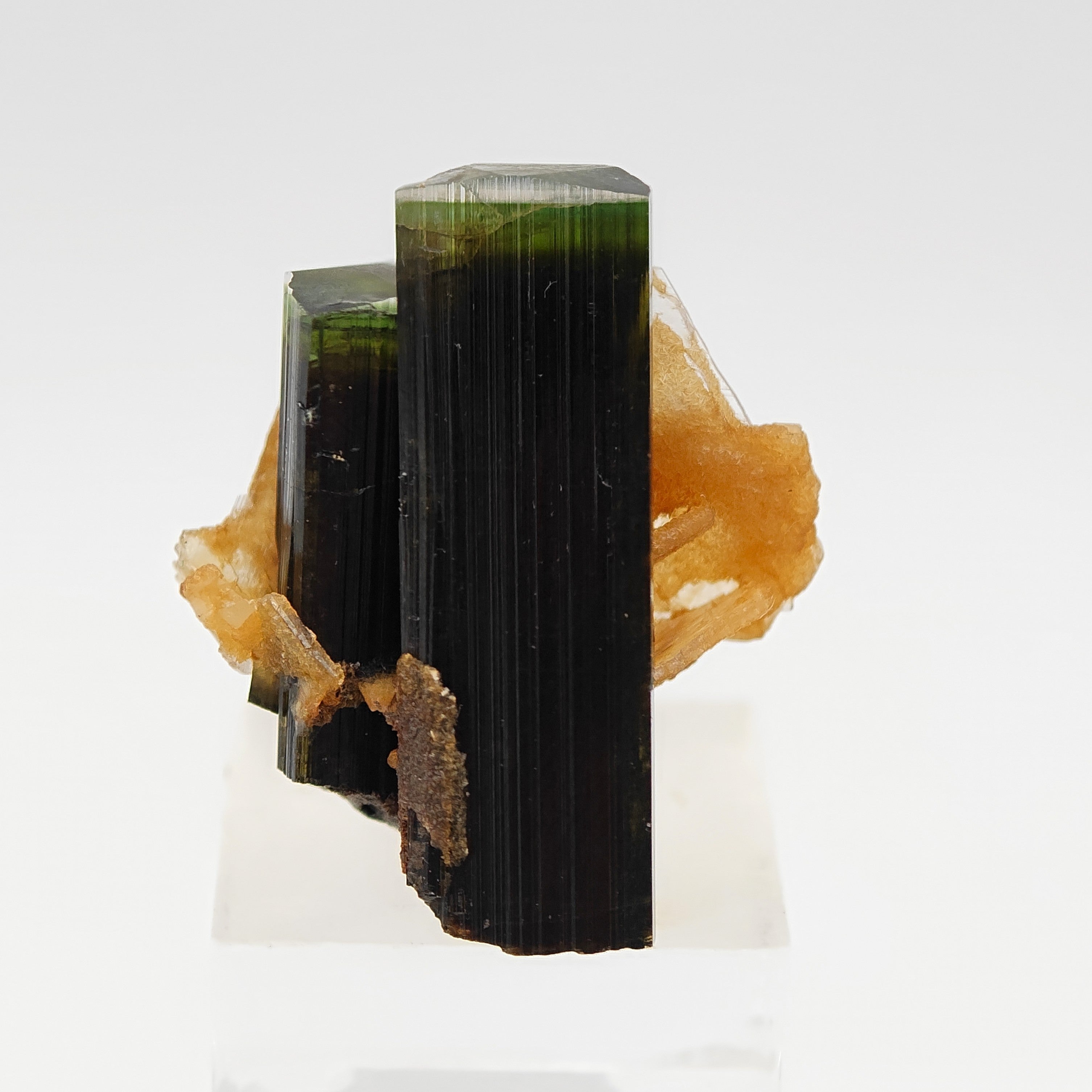 ELBAITE – Perfectly Terminated Green Tourmaline Crystal, Stak Nala, Pakistan