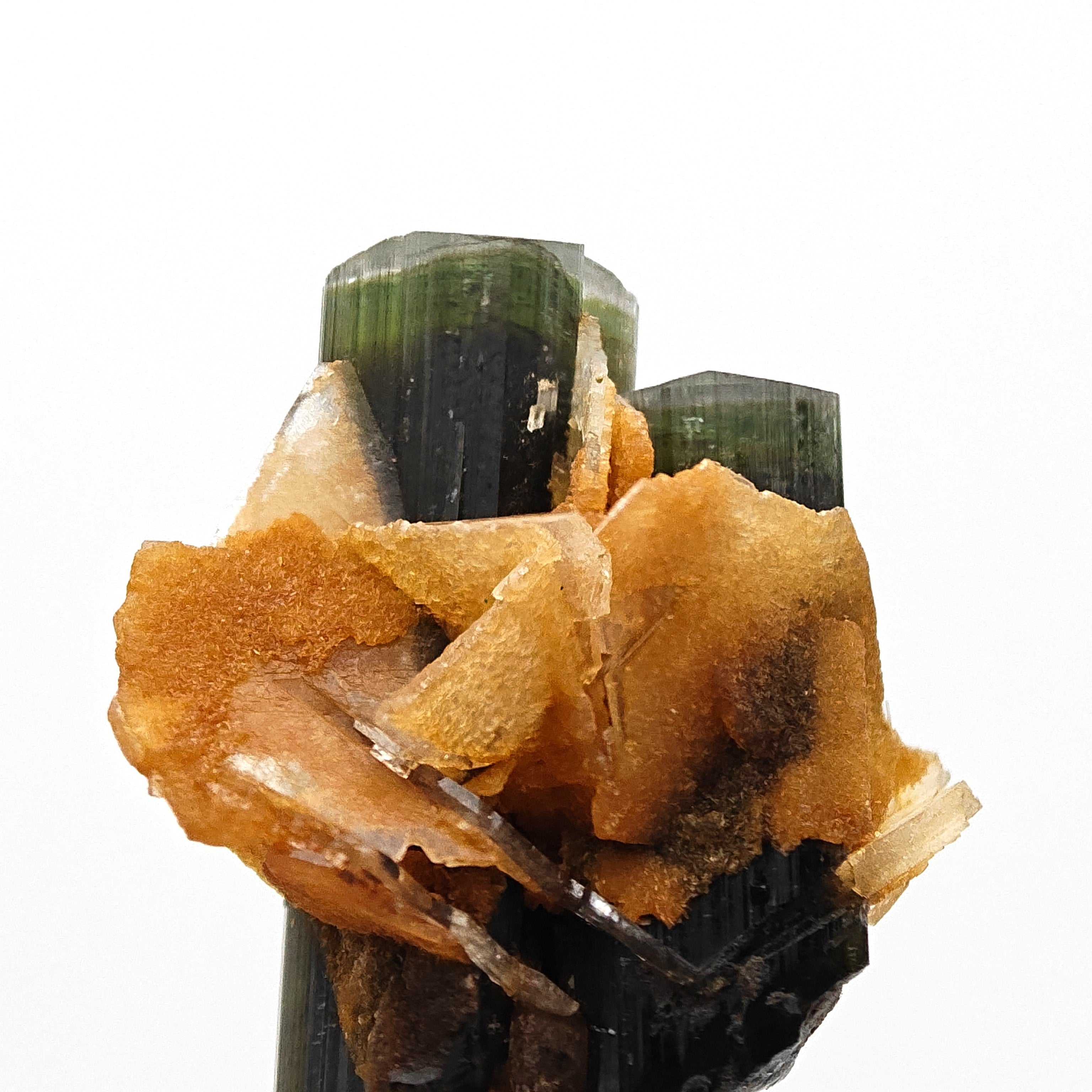 ELBAITE – Perfectly Terminated Green Tourmaline Crystal, Stak Nala, Pakistan