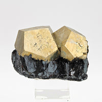 PYRITE & HEMATITE – Two Gold Pentagonal Dodecahedrons from Rio Marina, Elba