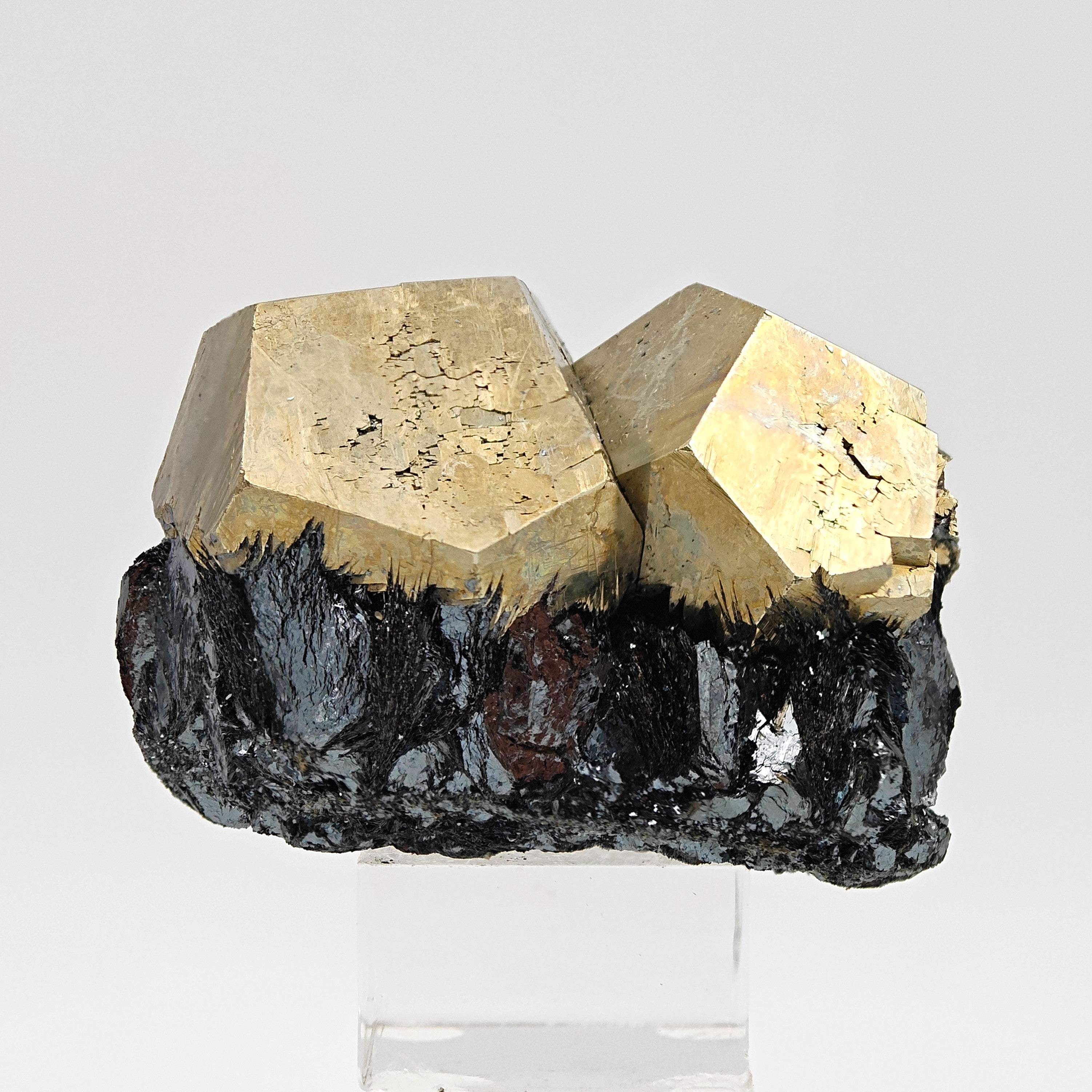 PYRITE & HEMATITE – Two Gold Pentagonal Dodecahedrons from Rio Marina, Elba