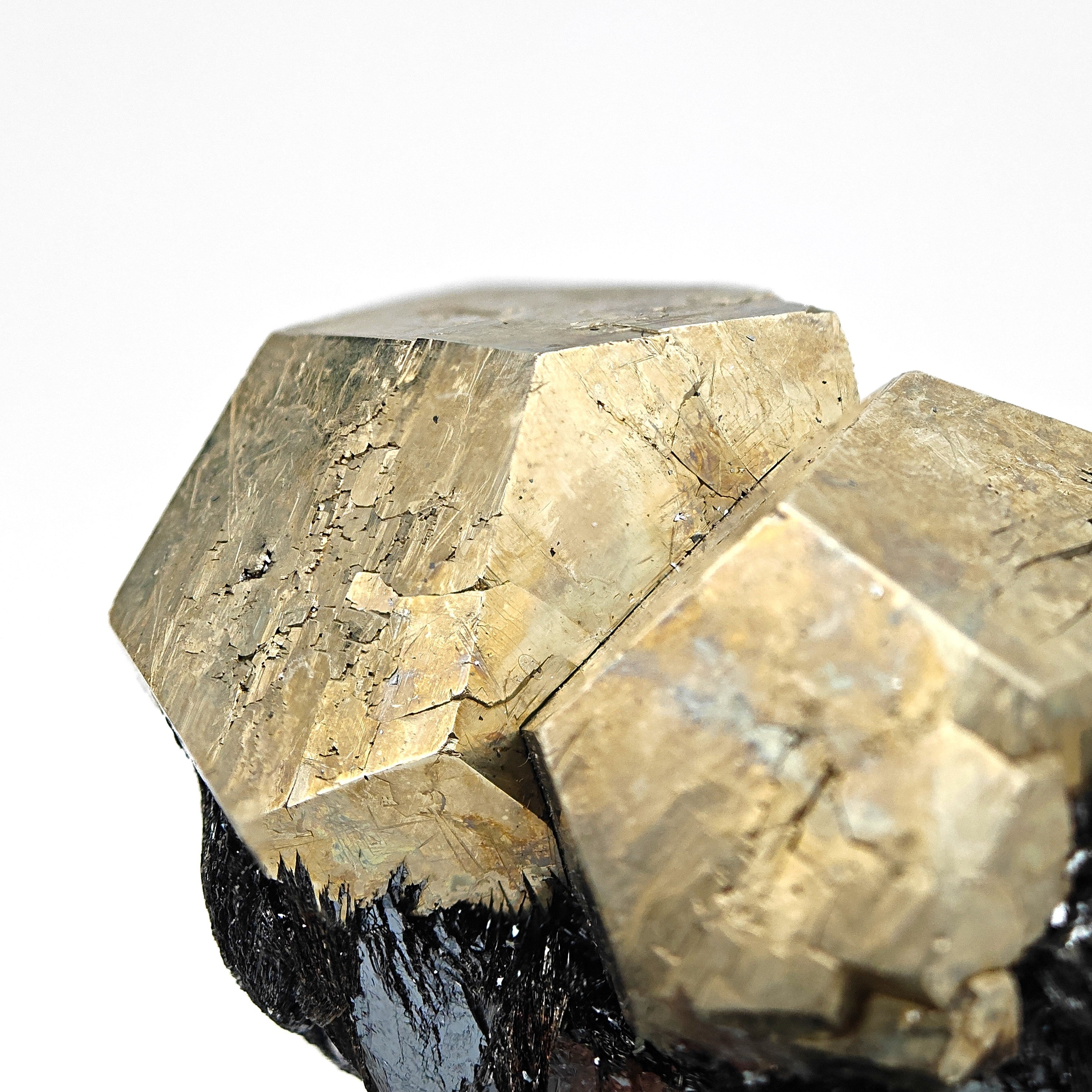 PYRITE & HEMATITE – Two Gold Pentagonal Dodecahedrons from Rio Marina, Elba