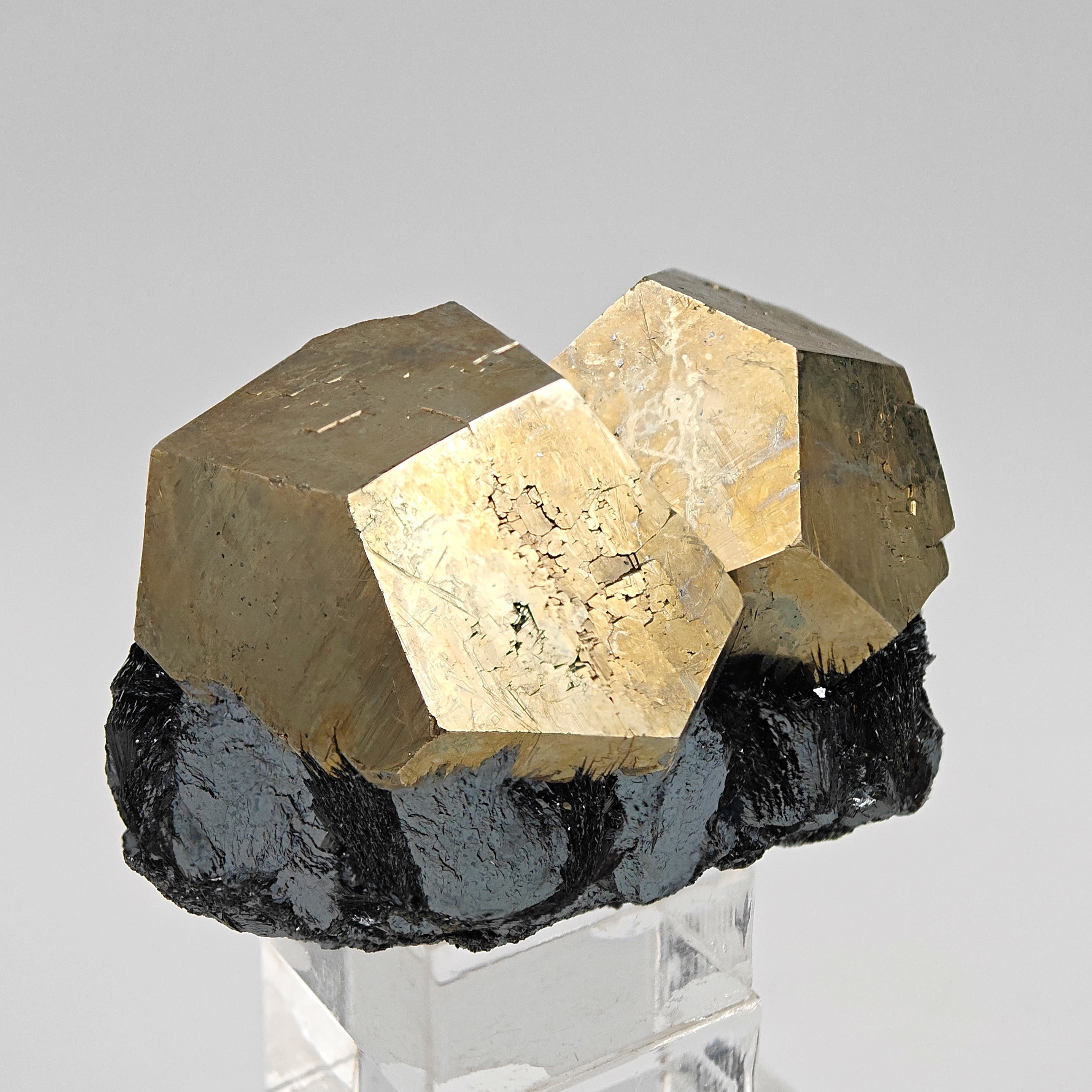 PYRITE & HEMATITE – Two Gold Pentagonal Dodecahedrons from Rio Marina, Elba