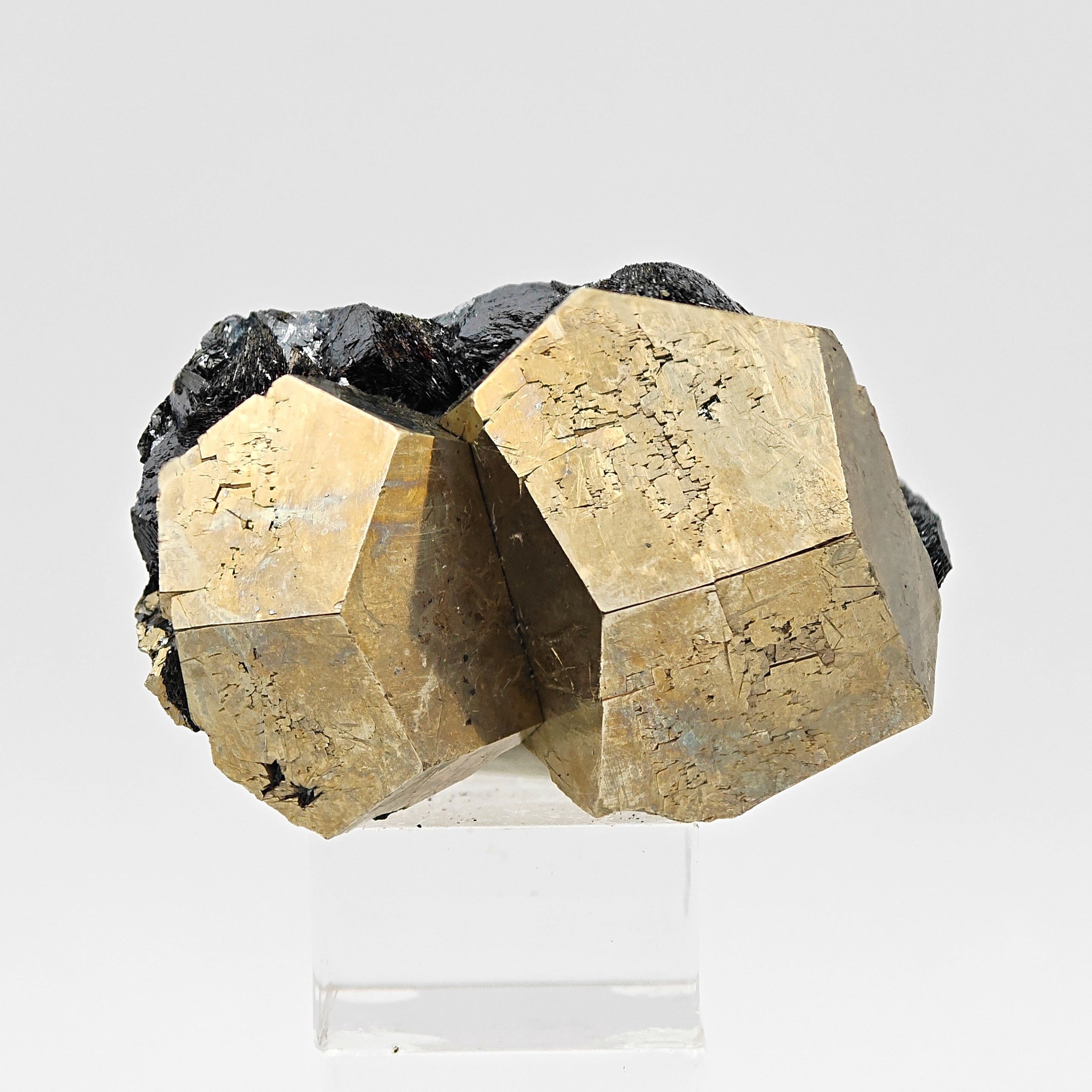 PYRITE & HEMATITE – Two Gold Pentagonal Dodecahedrons from Rio Marina, Elba