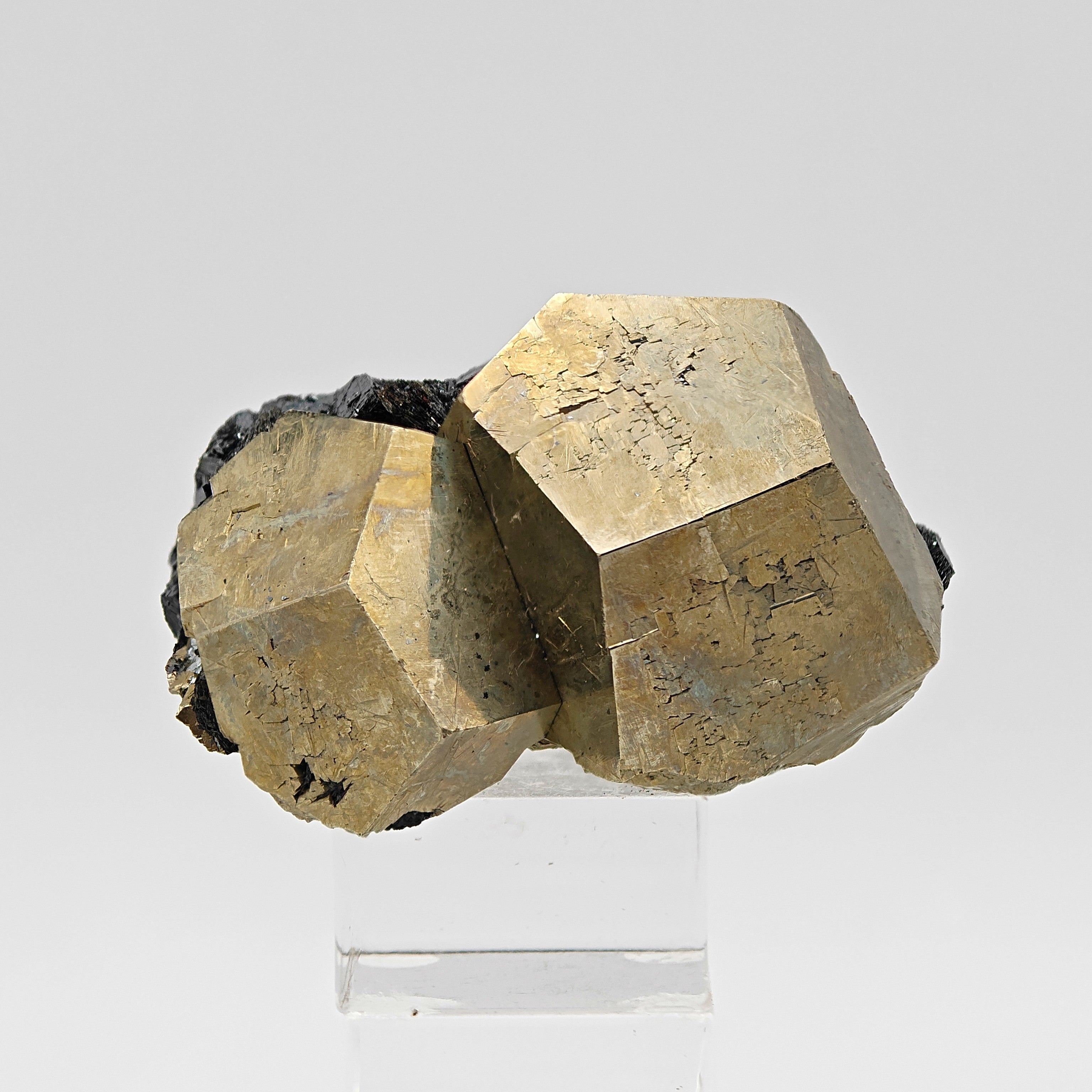 PYRITE & HEMATITE – Two Gold Pentagonal Dodecahedrons from Rio Marina, Elba