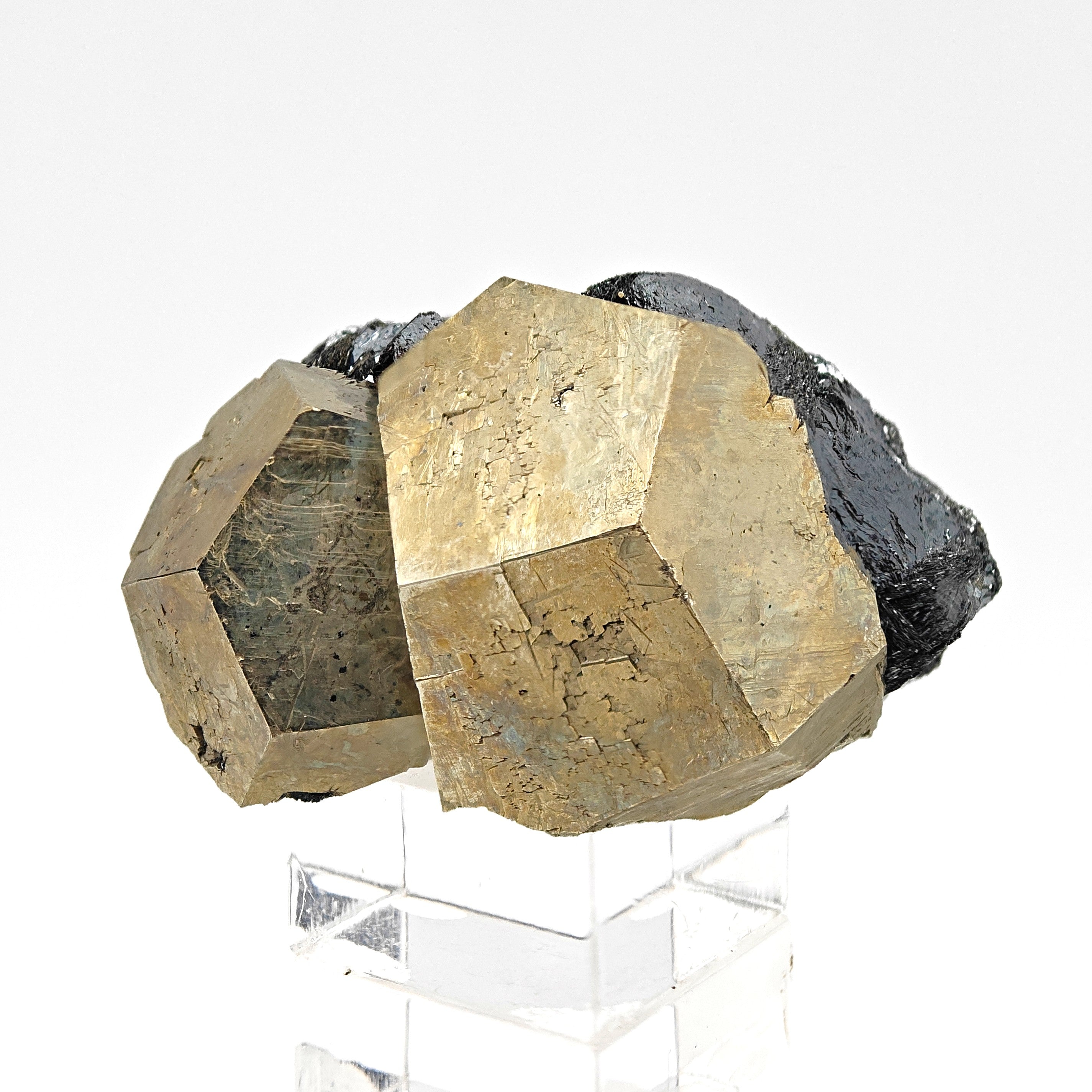 PYRITE & HEMATITE – Two Gold Pentagonal Dodecahedrons from Rio Marina, Elba