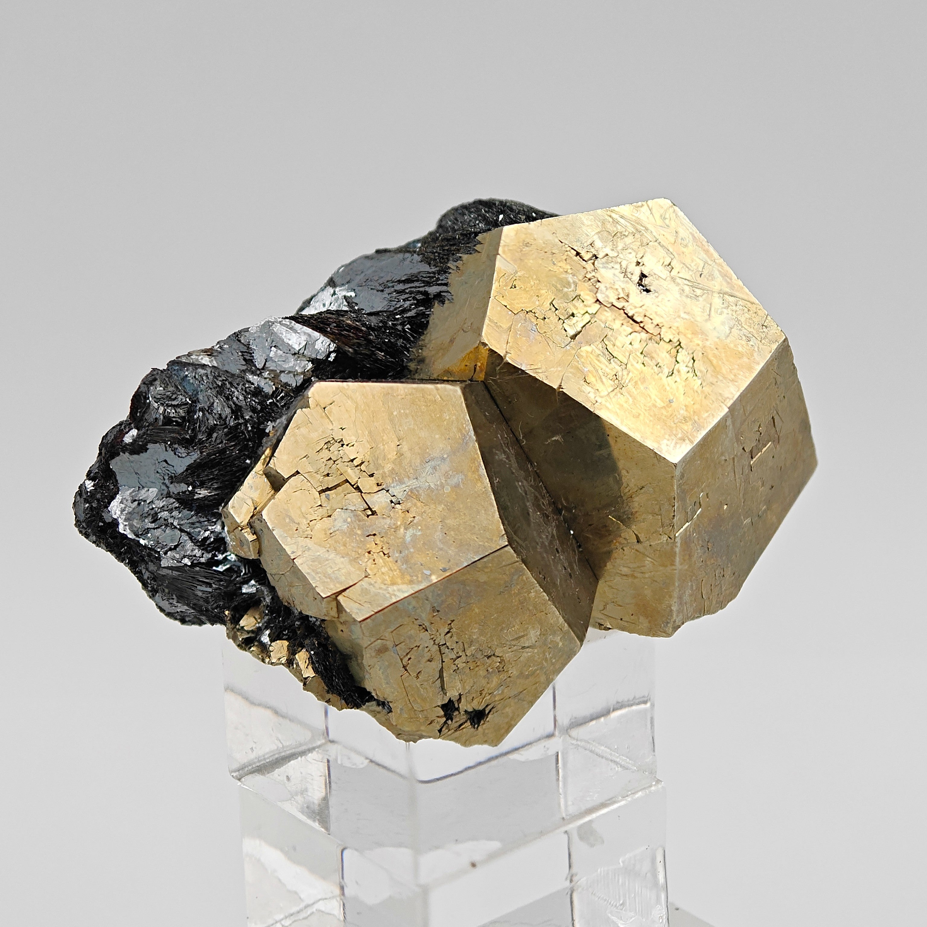 PYRITE & HEMATITE – Two Gold Pentagonal Dodecahedrons from Rio Marina, Elba