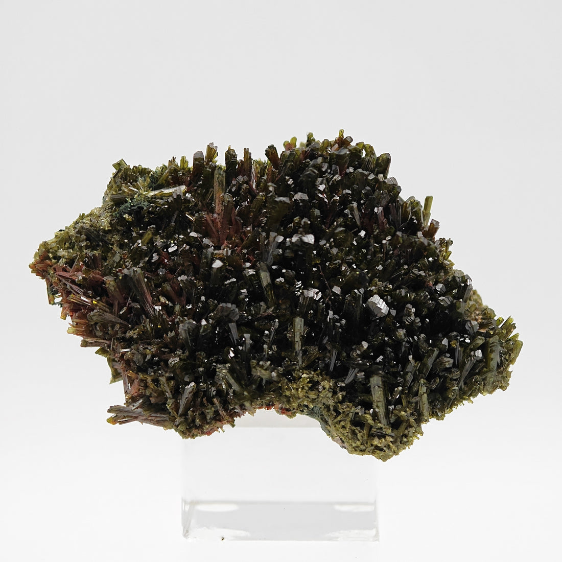 EPIDOTE – Bifacial Plate, 100+ Green Crystals, Tremp, Lleida, Spain