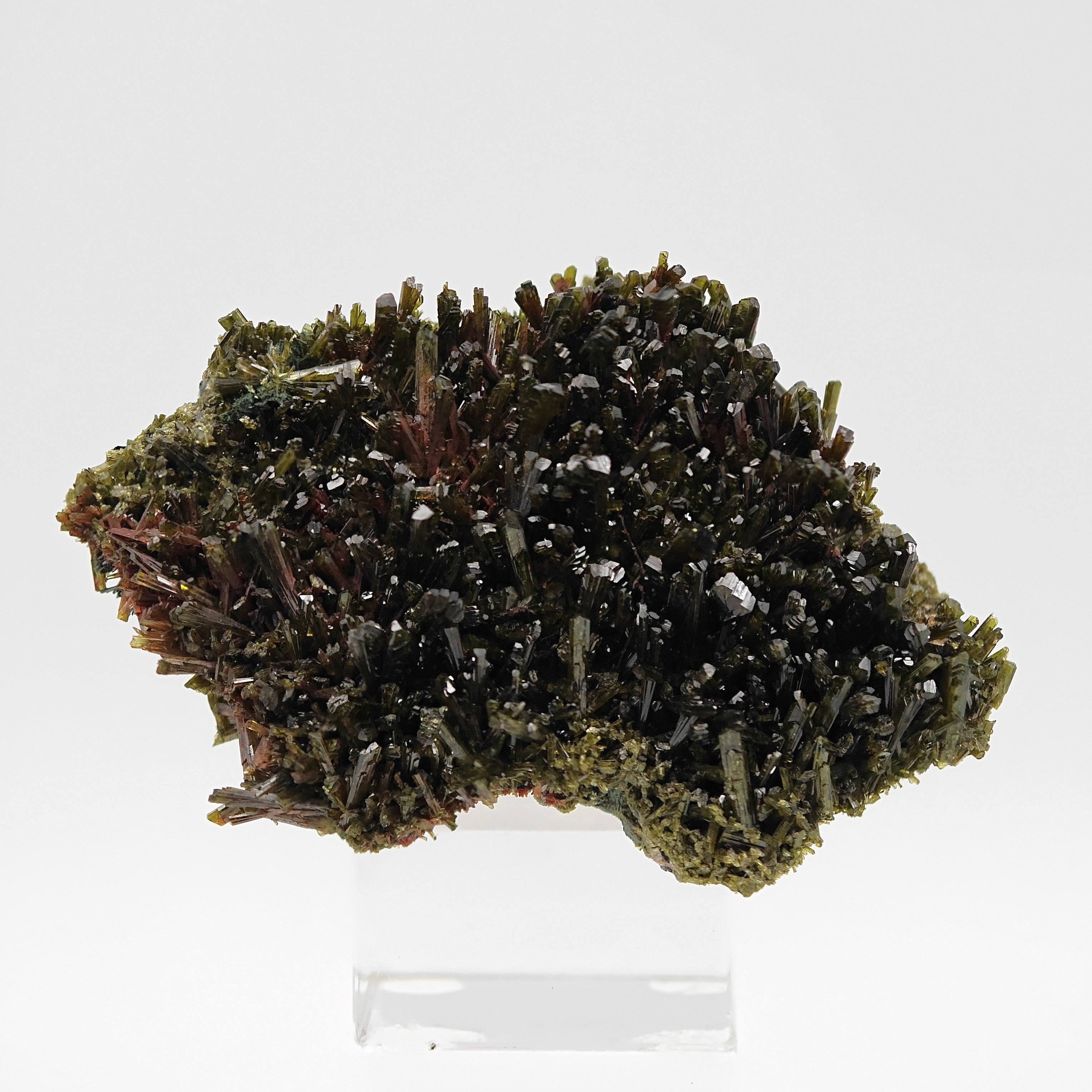 EPIDOTE – Bifacial Plate, 100+ Green Crystals, Tremp, Lleida, Spain