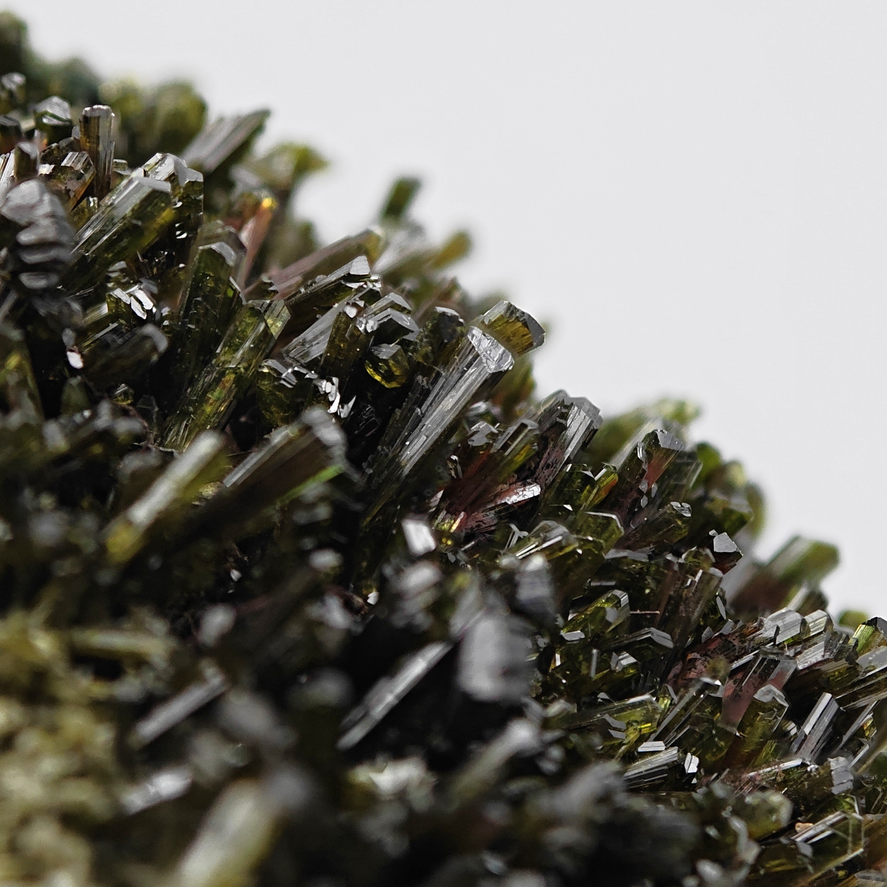 EPIDOTE – Bifacial Plate, 100+ Green Crystals, Tremp, Lleida, Spain