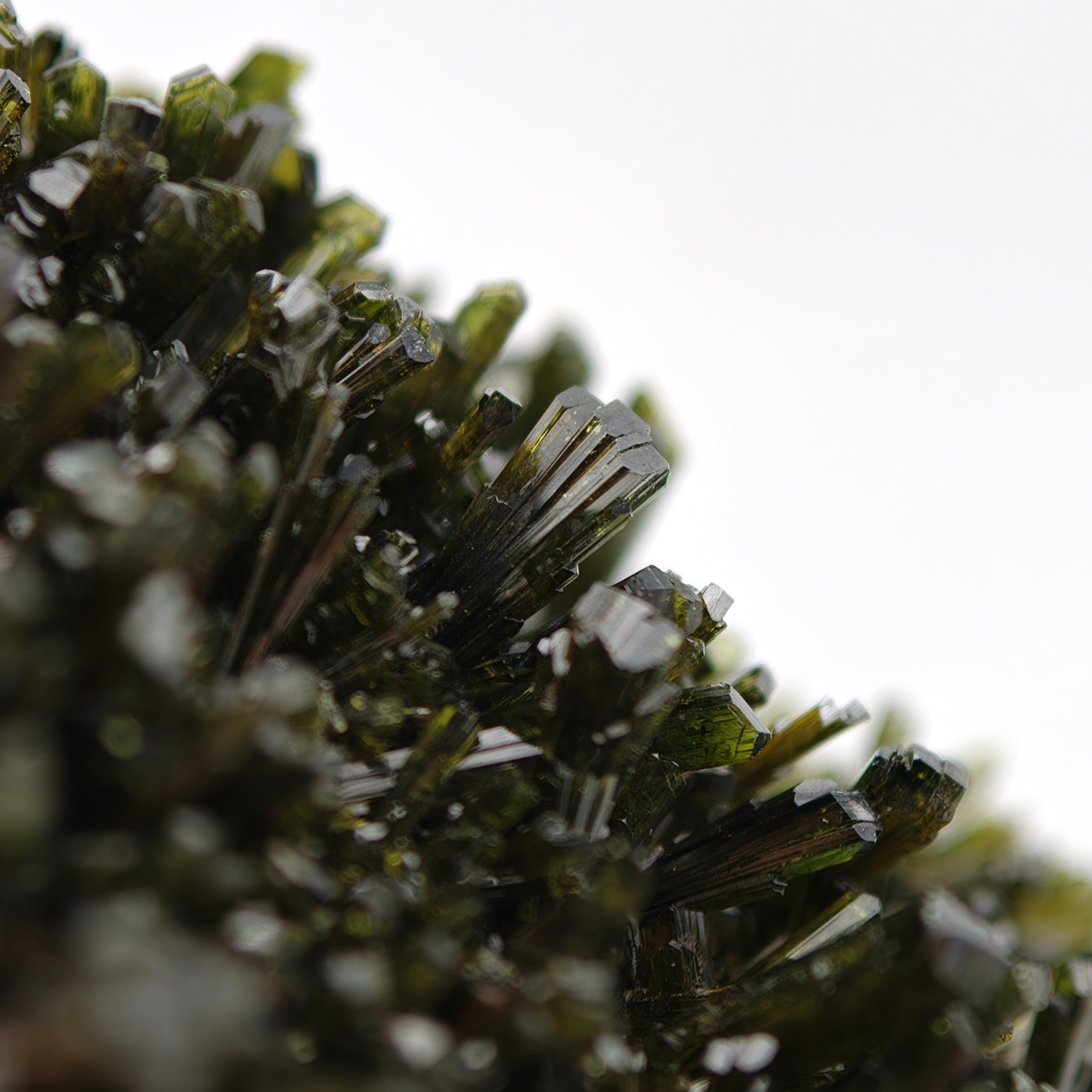 EPIDOTE – Bifacial Plate, 100+ Green Crystals, Tremp, Lleida, Spain