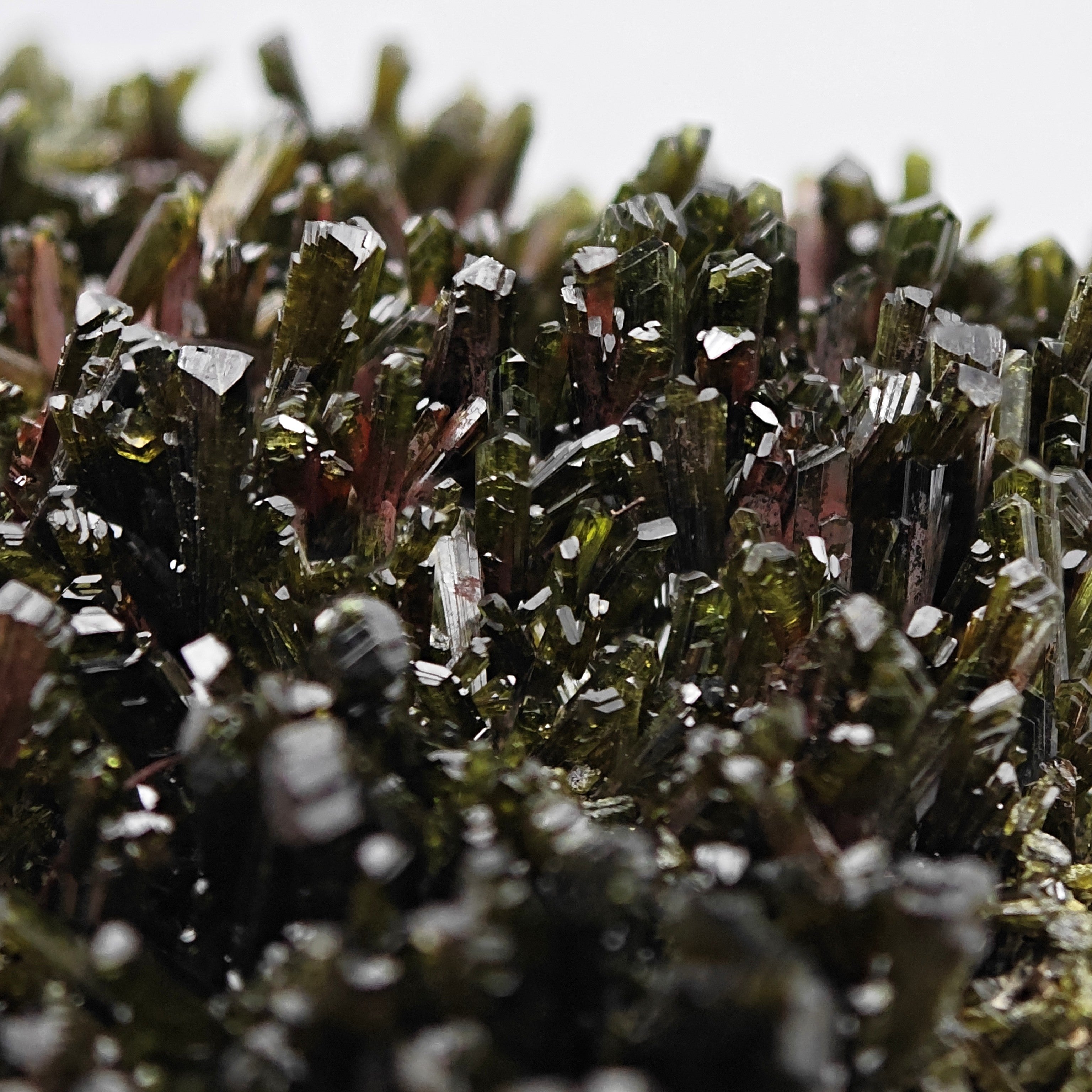 EPIDOTE – Bifacial Plate, 100+ Green Crystals, Tremp, Lleida, Spain