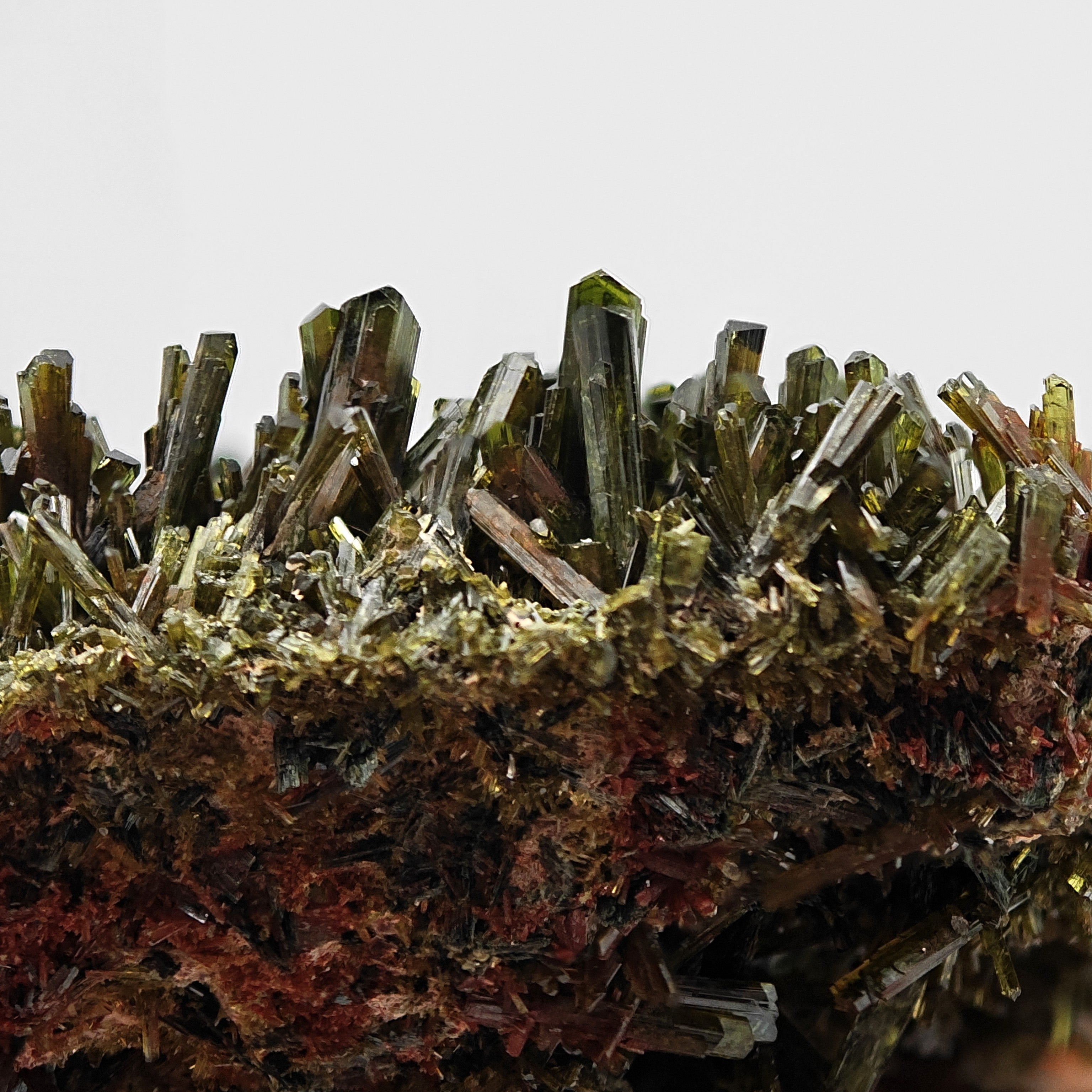 EPIDOTE – Bifacial Plate, 100+ Green Crystals, Tremp, Lleida, Spain