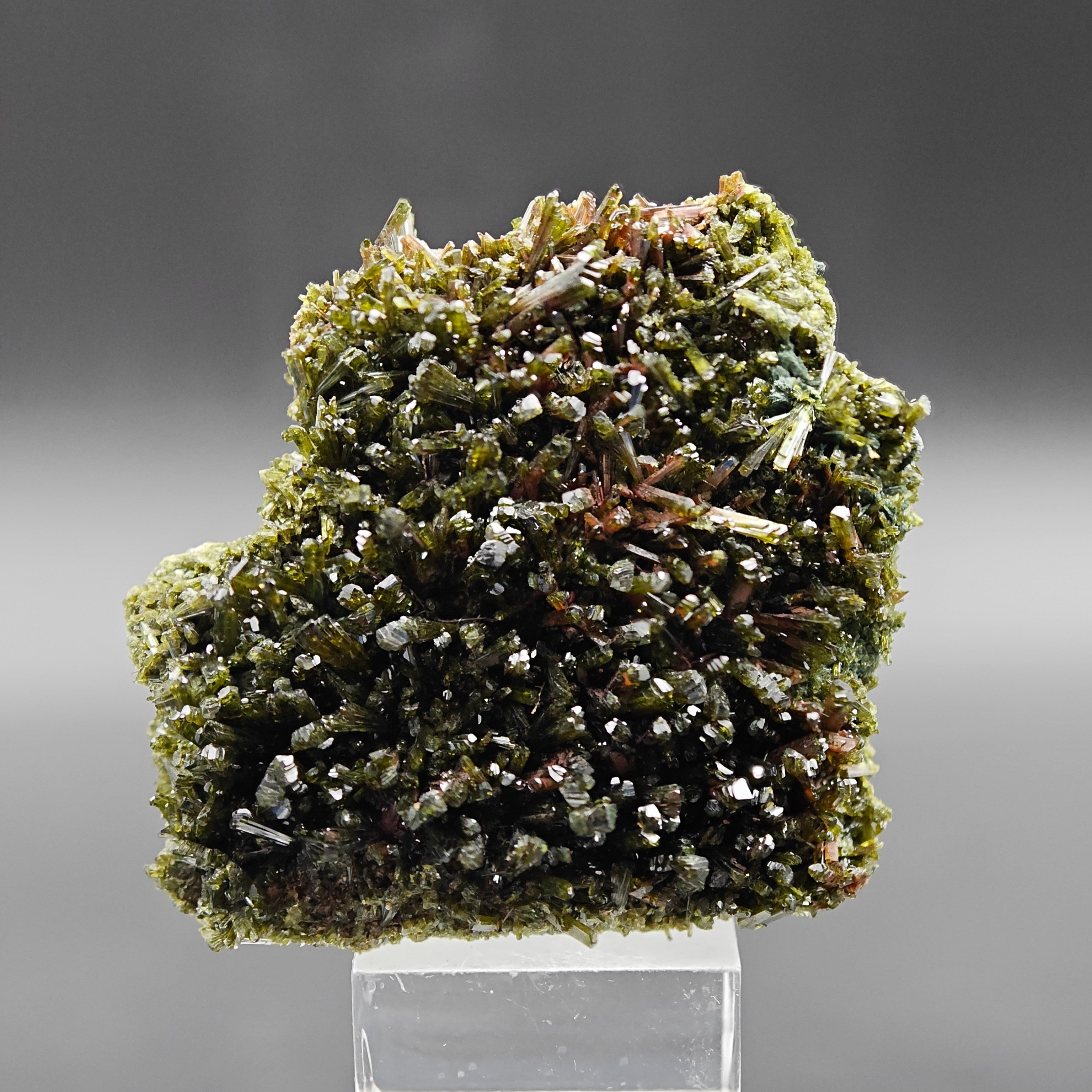EPIDOTE – Bifacial Plate, 100+ Green Crystals, Tremp, Lleida, Spain