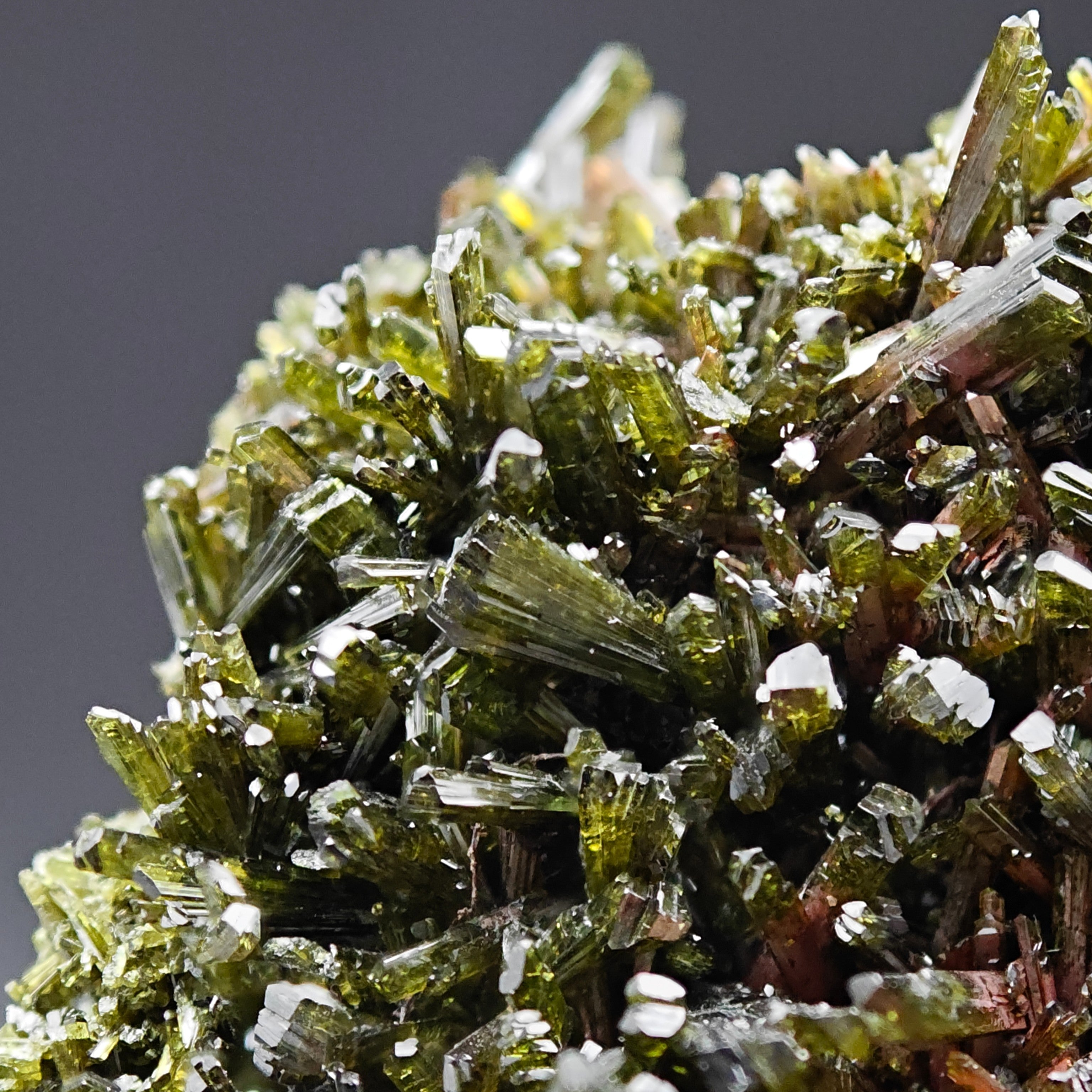 EPIDOTE – Bifacial Plate, 100+ Green Crystals, Tremp, Lleida, Spain