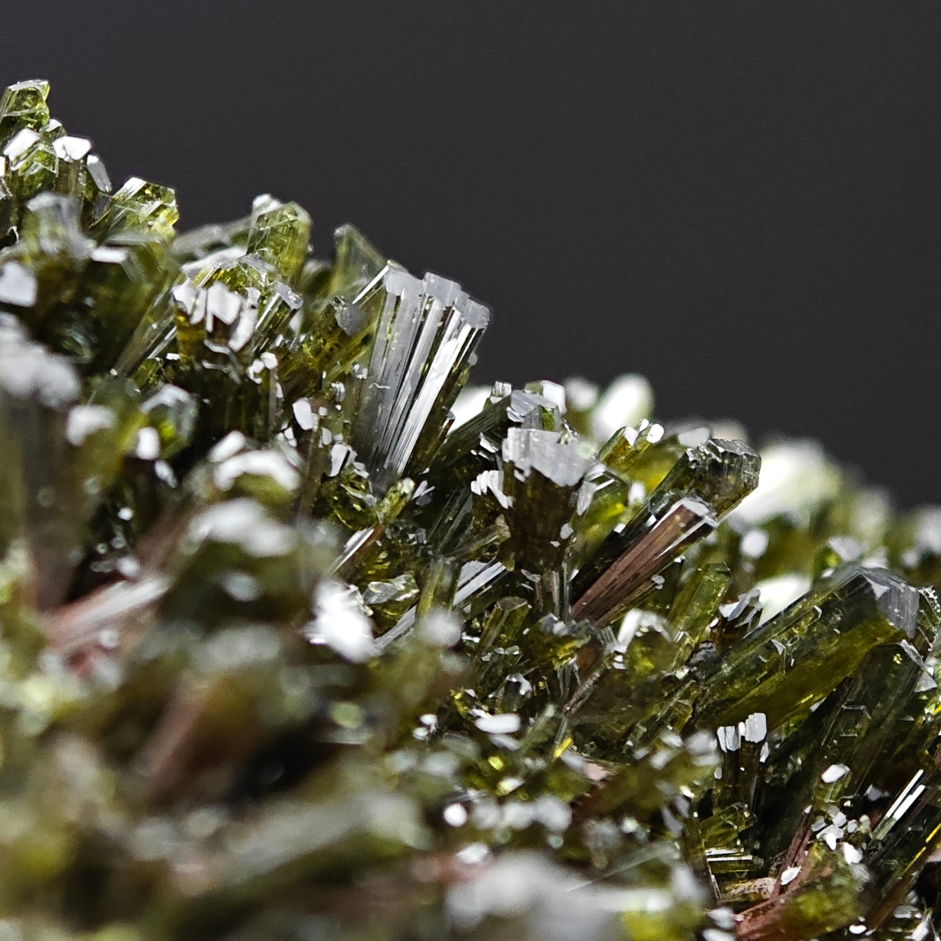 EPIDOTE – Bifacial Plate, 100+ Green Crystals, Tremp, Lleida, Spain