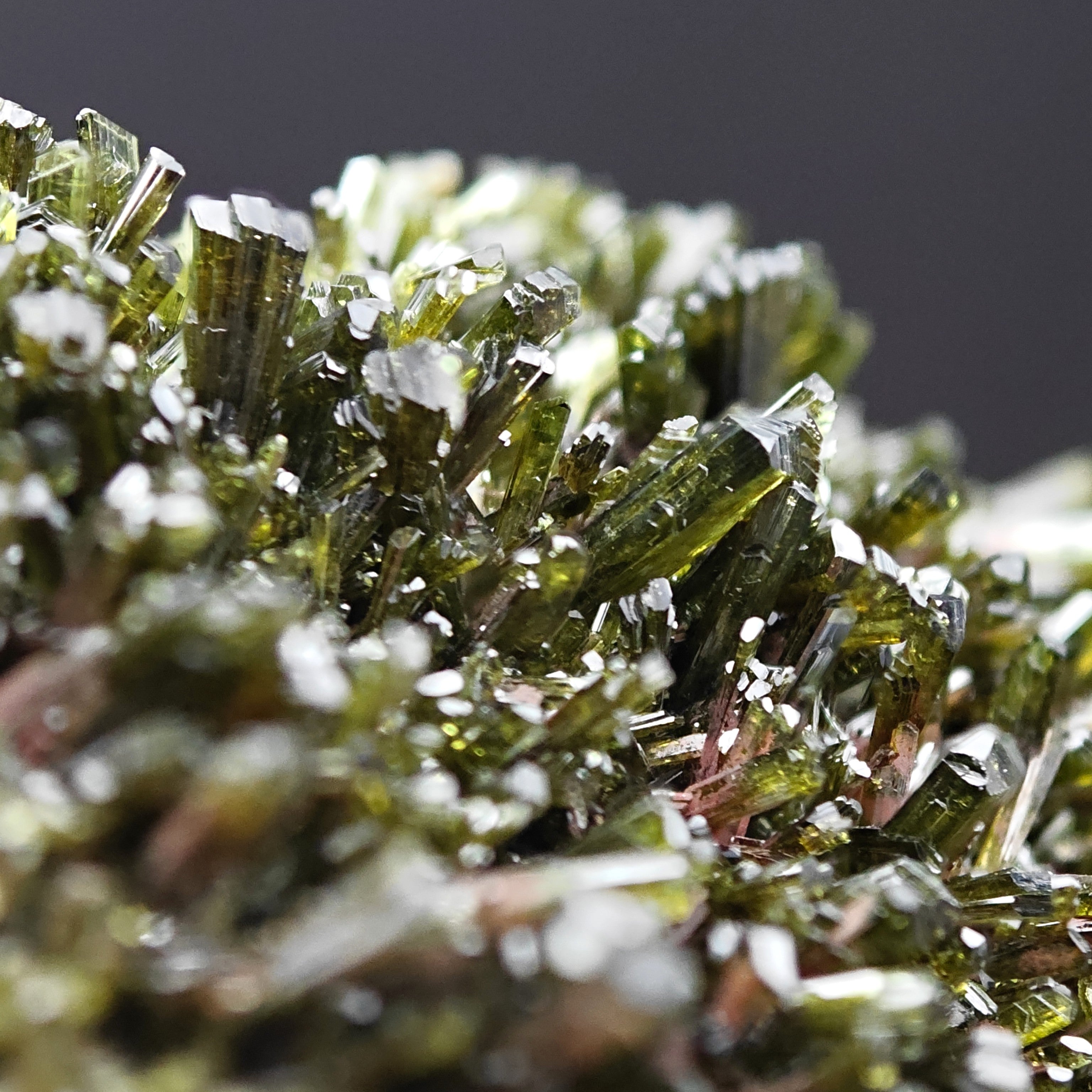 EPIDOTE – Bifacial Plate, 100+ Green Crystals, Tremp, Lleida, Spain
