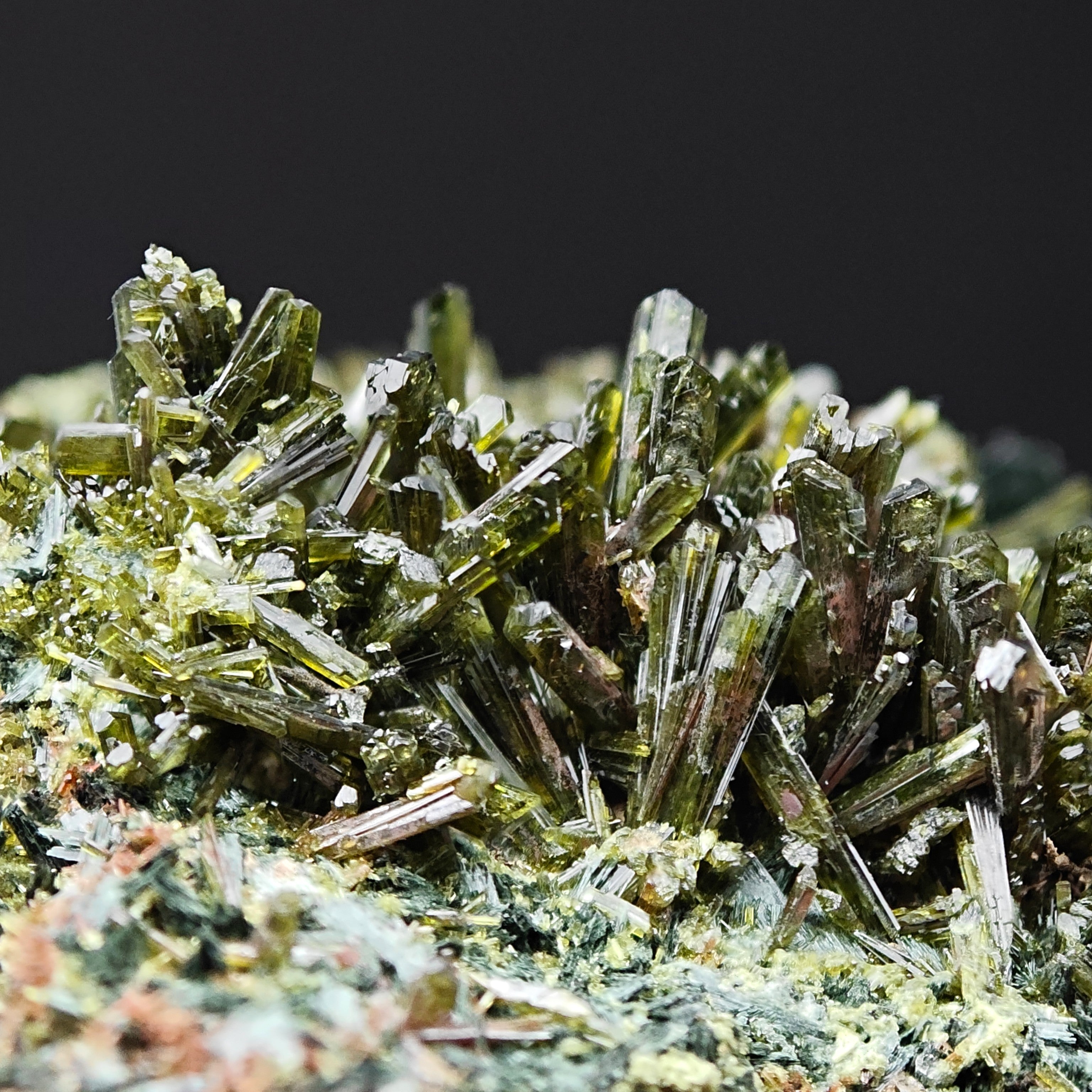 EPIDOTE – Bifacial Plate, 100+ Green Crystals, Tremp, Lleida, Spain