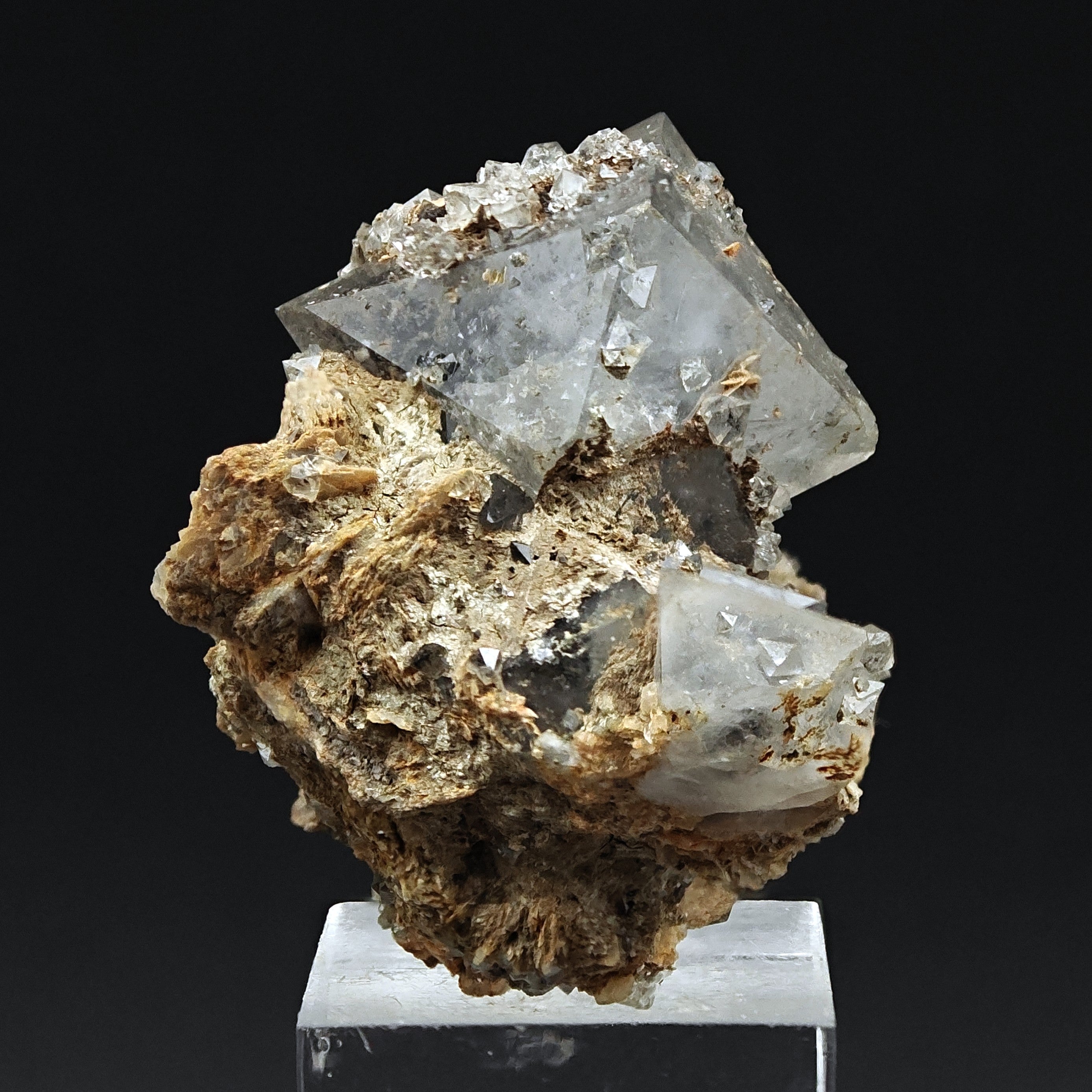 QUARTZ (BETA PARAMORPH) – Multiple Bipyramidal Crystals, Monterenzio, Italy
