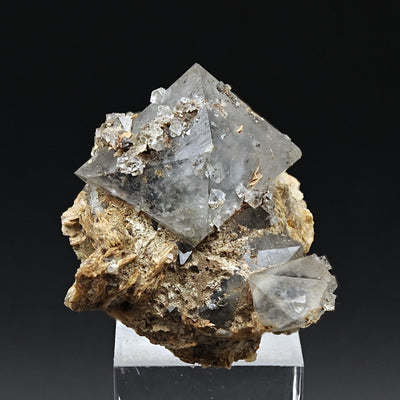 Bipyramidal quartz paramorph crystal group mounted on matrix, Monterenzio, Italy