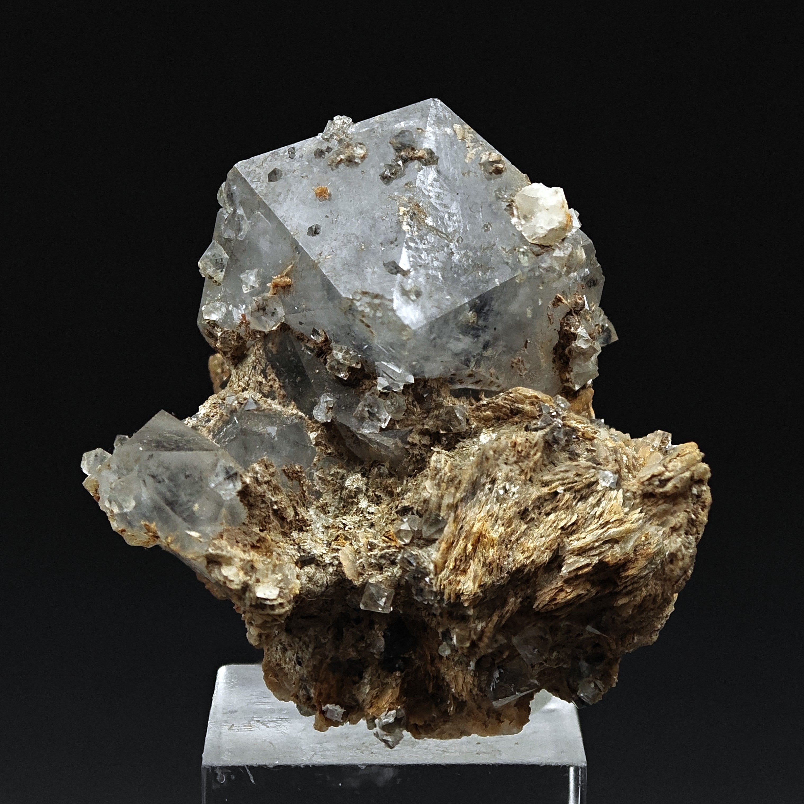 QUARTZ (BETA PARAMORPH) – Multiple Bipyramidal Crystals, Monterenzio, Italy