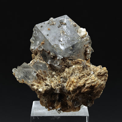 Quartz beta paramorph specimen showing two bipyramidal crystals on matrix base