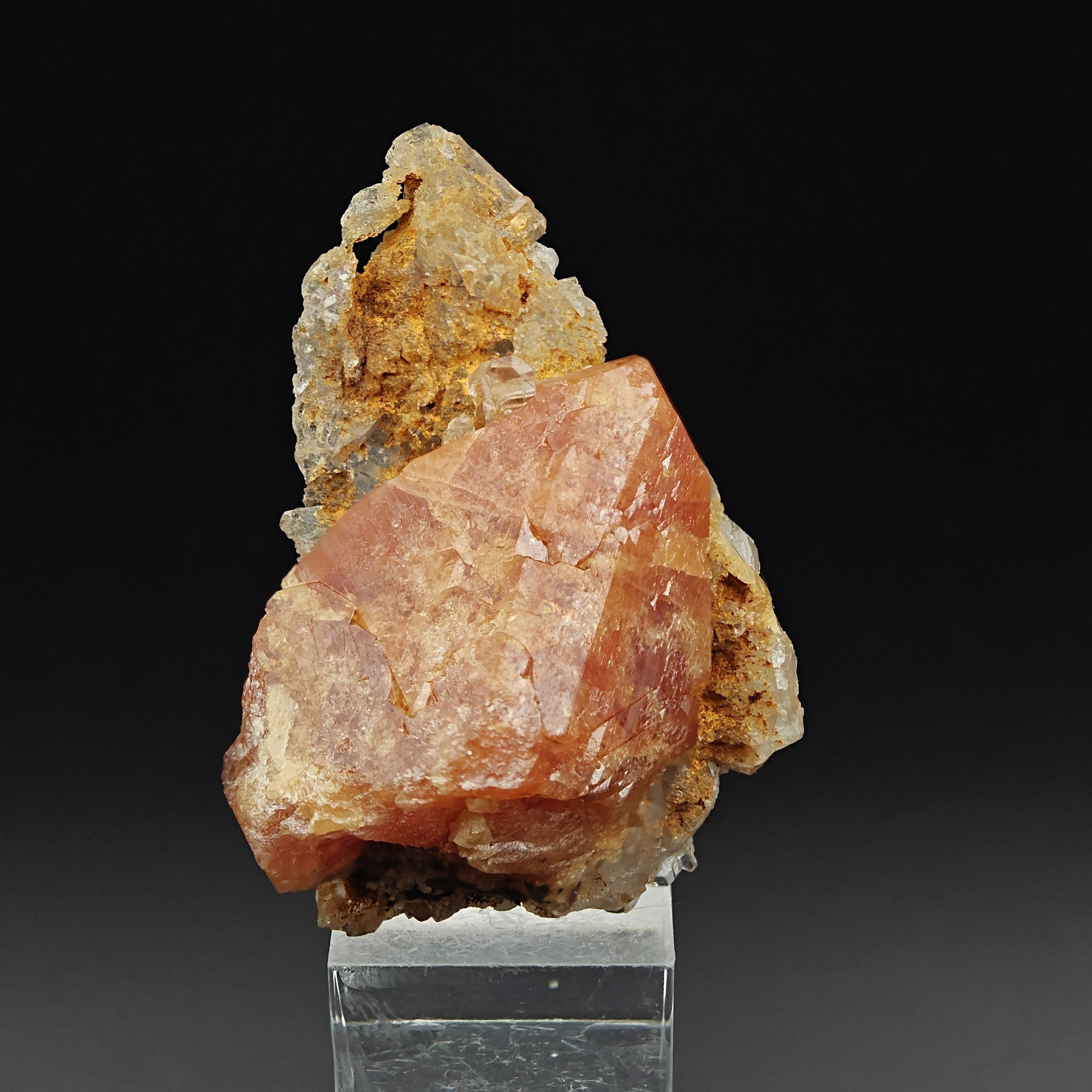 SCHEELITE – 4.4cm Lustrous Honey-Colored Crystal, Sichuan, China