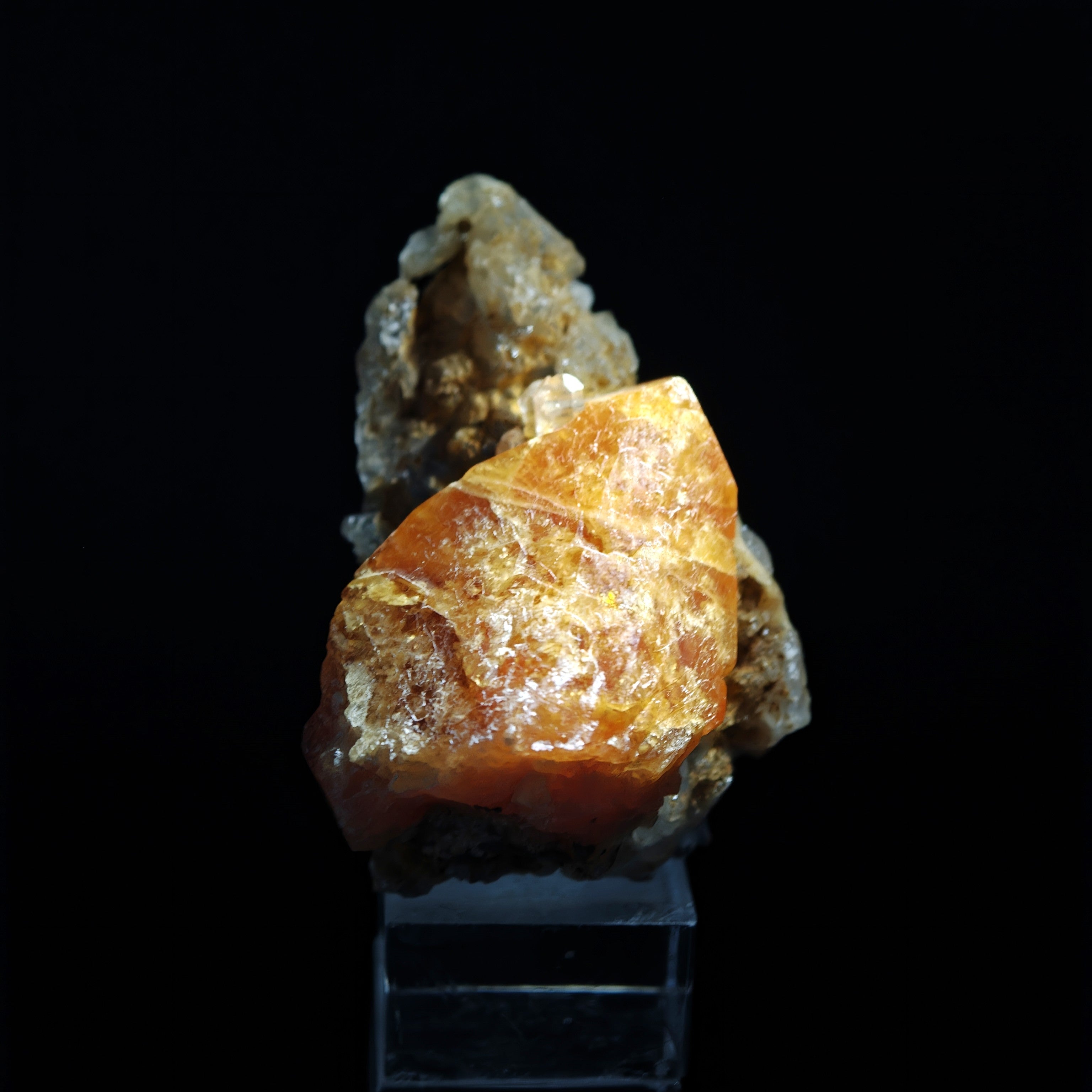SCHEELITE – 4.4cm Lustrous Honey-Colored Crystal, Sichuan, China