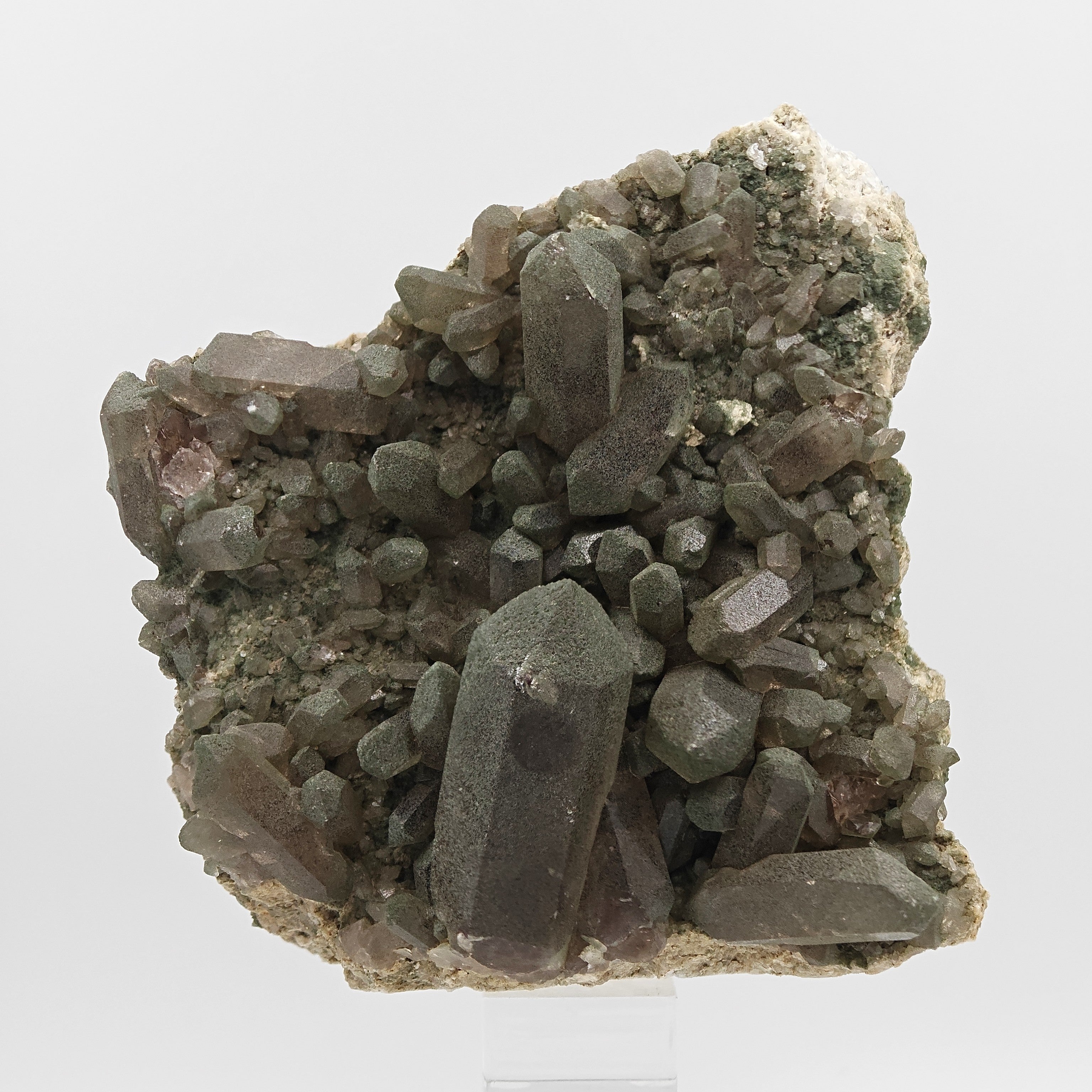 SMOKY QUARTZ with CHLORITE – Alpine Cluster, Courmayeur, Aosta Valley, Italy
