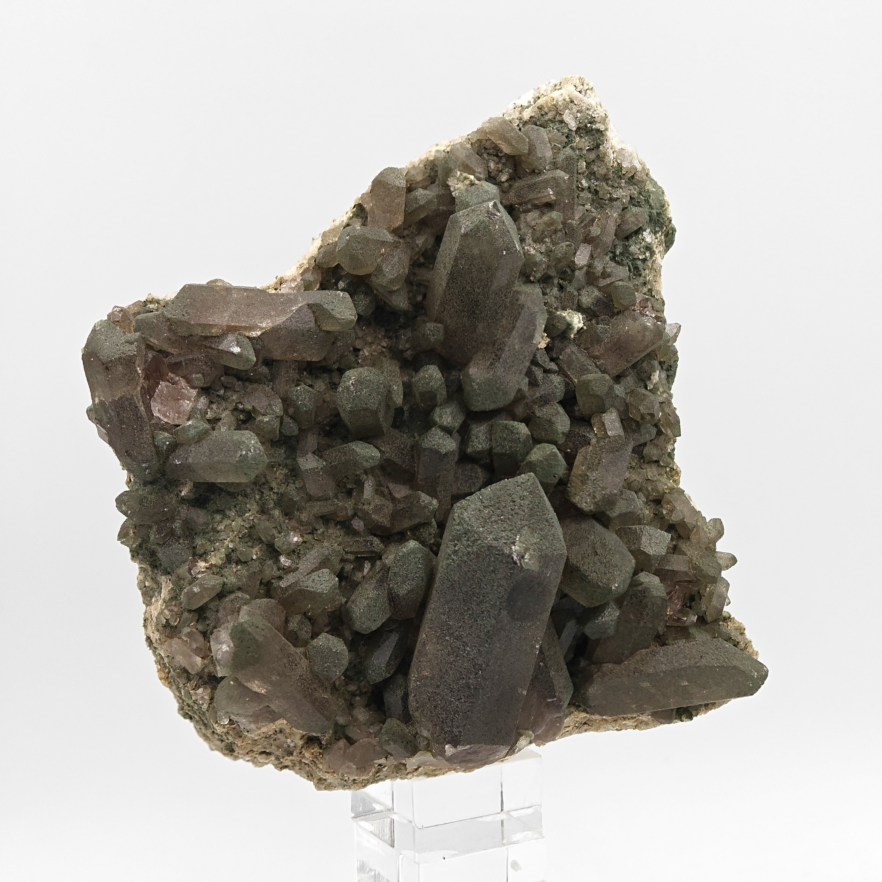 SMOKY QUARTZ with CHLORITE – Alpine Cluster, Courmayeur, Aosta Valley, Italy