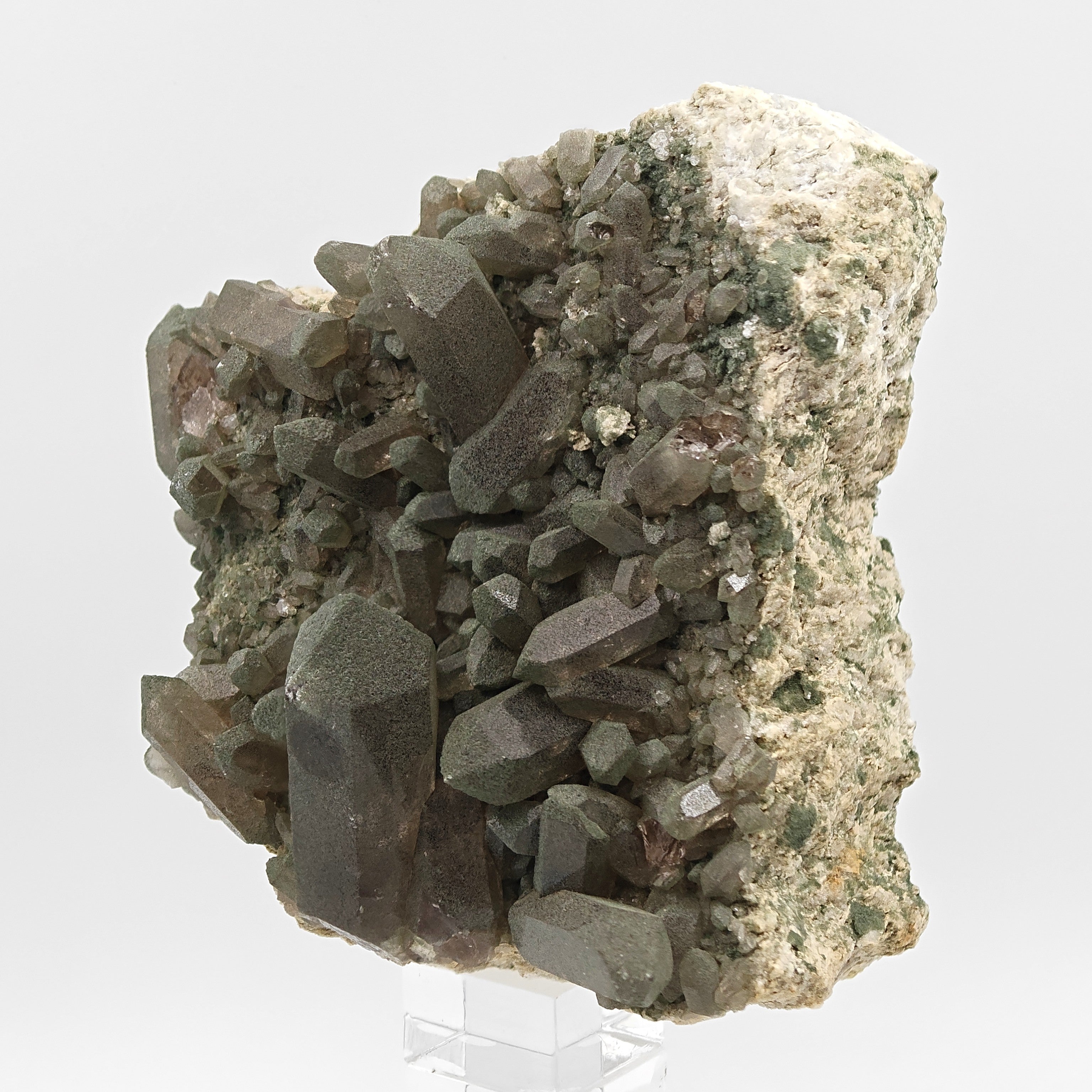 SMOKY QUARTZ with CHLORITE – Alpine Cluster, Courmayeur, Aosta Valley, Italy