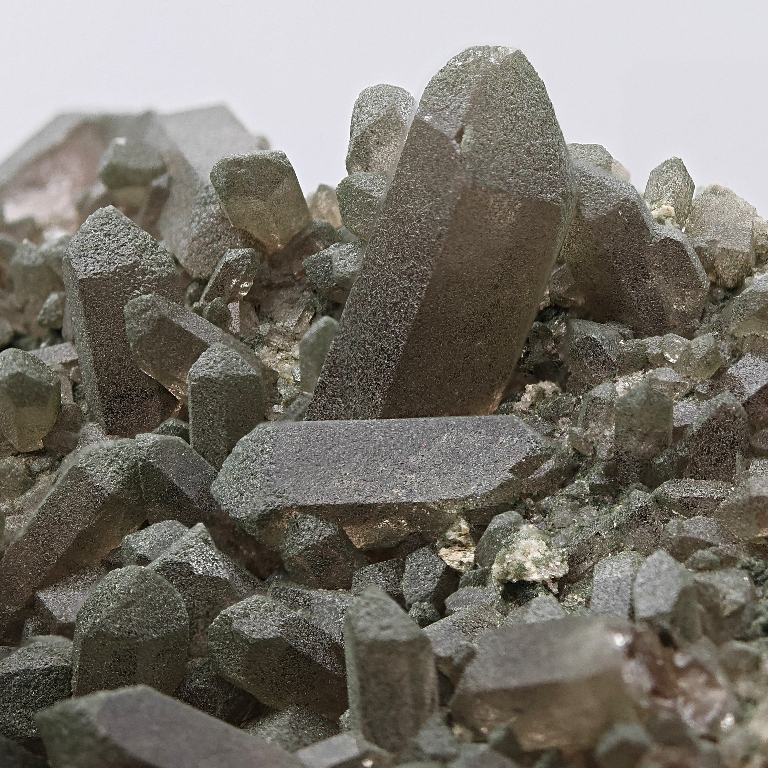 SMOKY QUARTZ with CHLORITE – Alpine Cluster, Courmayeur, Aosta Valley, Italy
