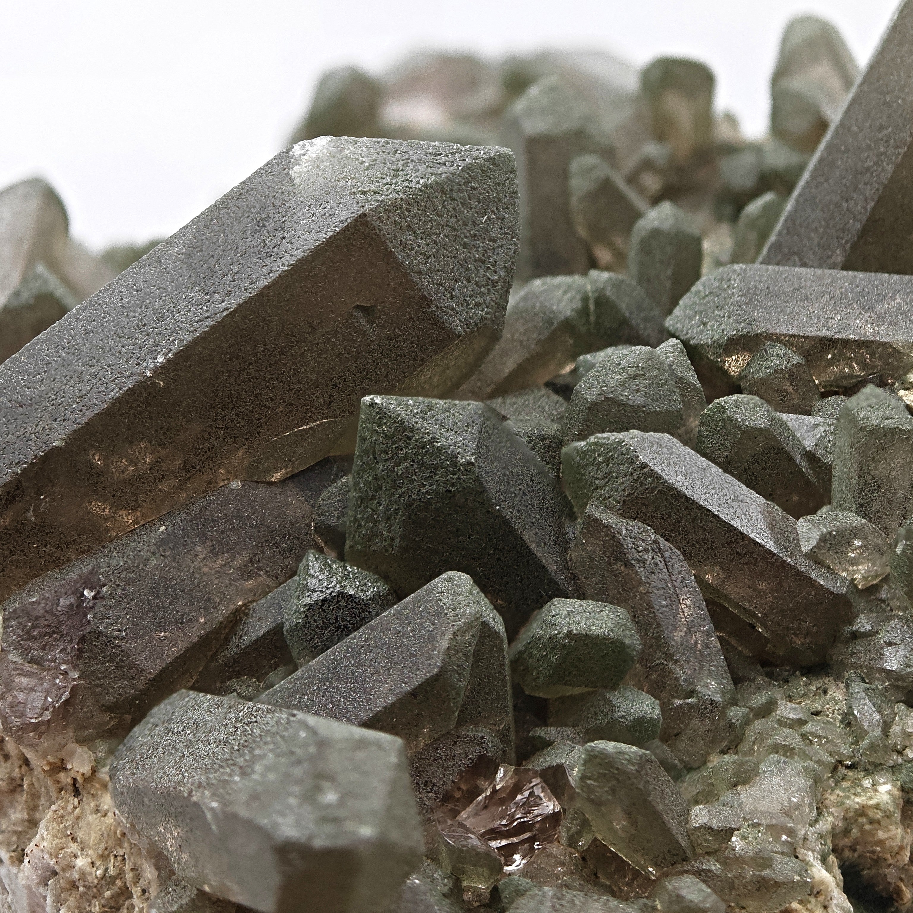 SMOKY QUARTZ with CHLORITE – Alpine Cluster, Courmayeur, Aosta Valley, Italy