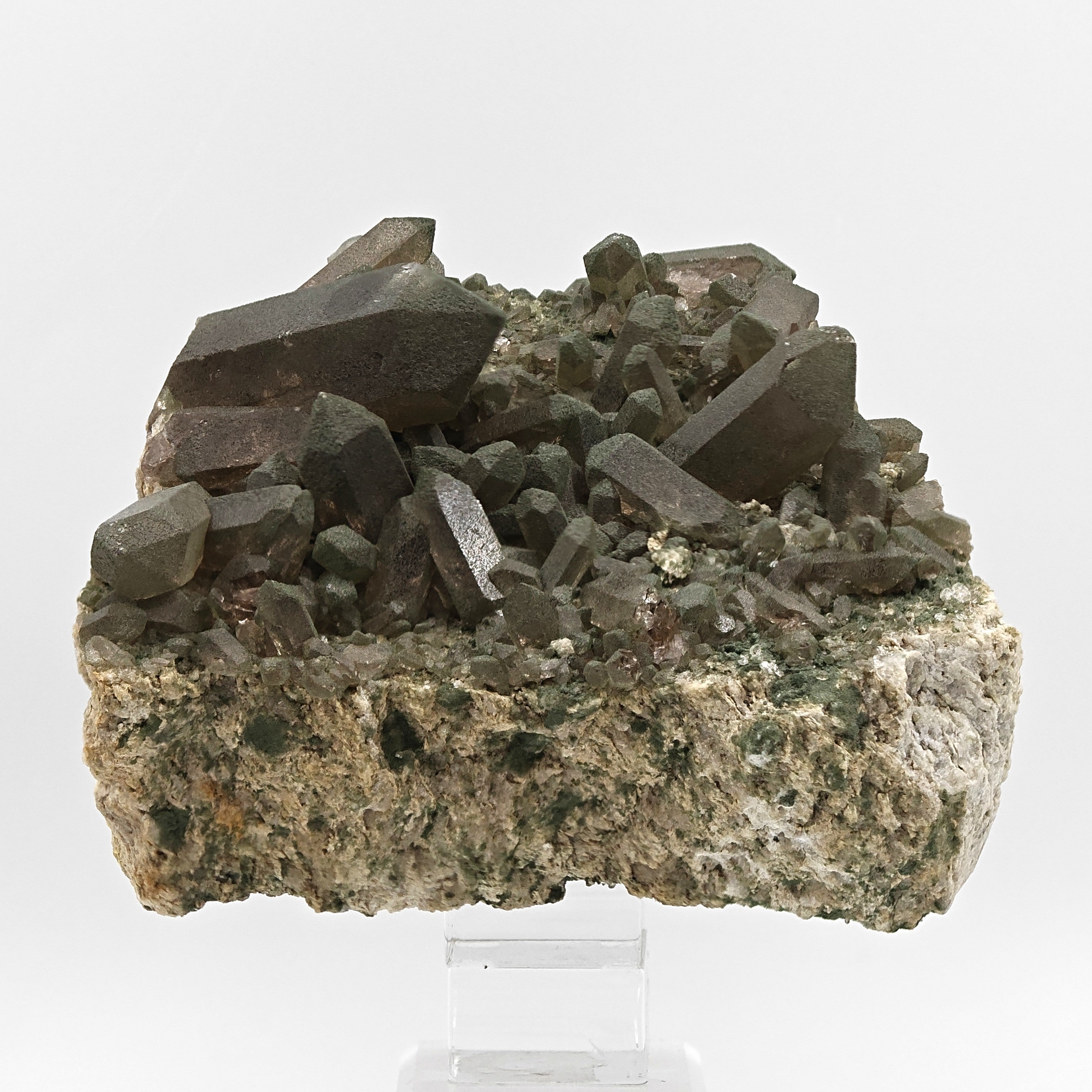 SMOKY QUARTZ with CHLORITE – Alpine Cluster, Courmayeur, Aosta Valley, Italy