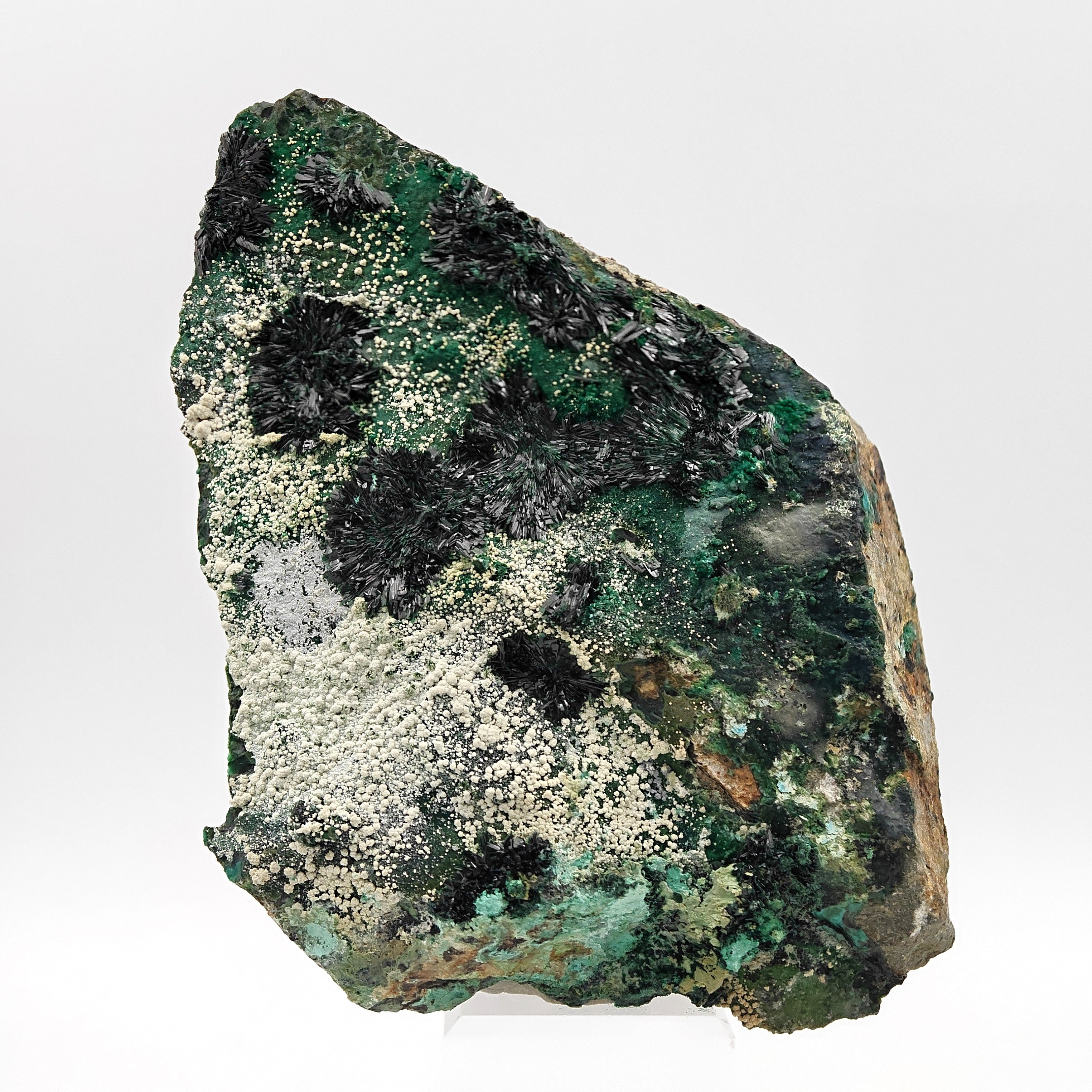 ATACAMITE – Rare Green Rays with Halloysite & Pseudomalachite, Atacama, Chile