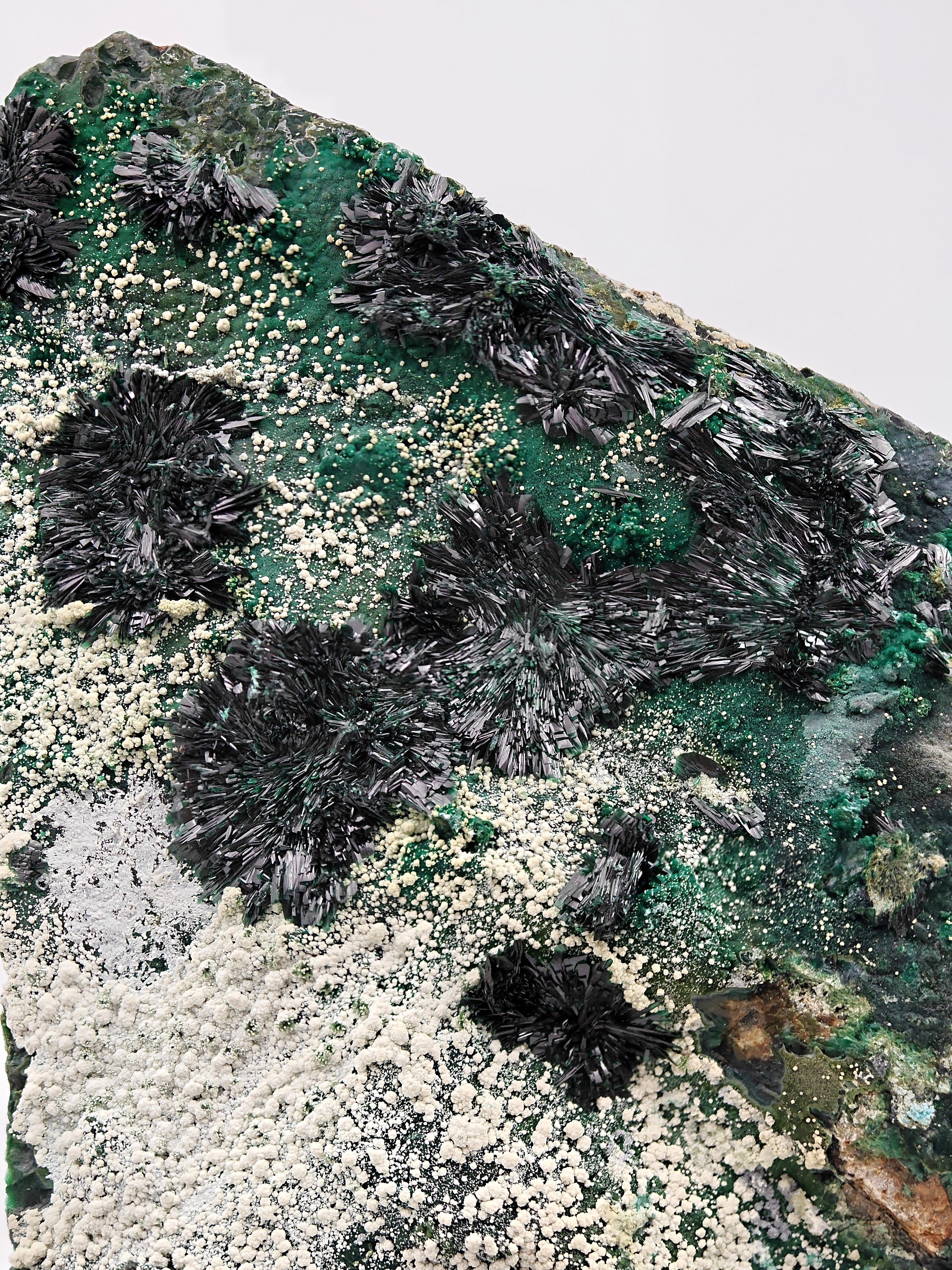 ATACAMITE – Rare Green Rays with Halloysite & Pseudomalachite, Atacama, Chile