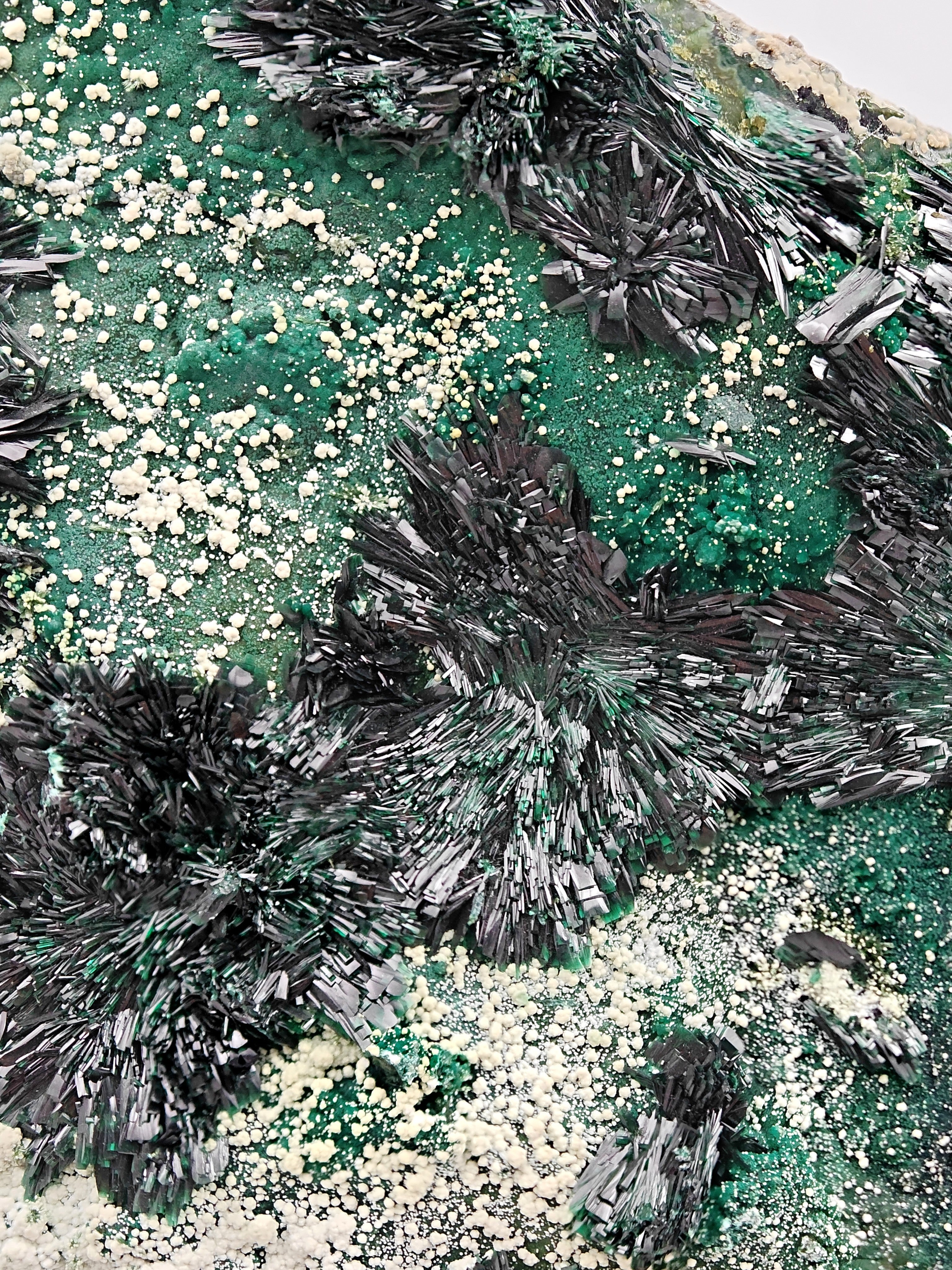 ATACAMITE – Rare Green Rays with Halloysite & Pseudomalachite, Atacama, Chile