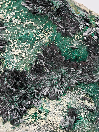 Atacamite crystal clusters with pseudomalachite and Halloysite, Chile