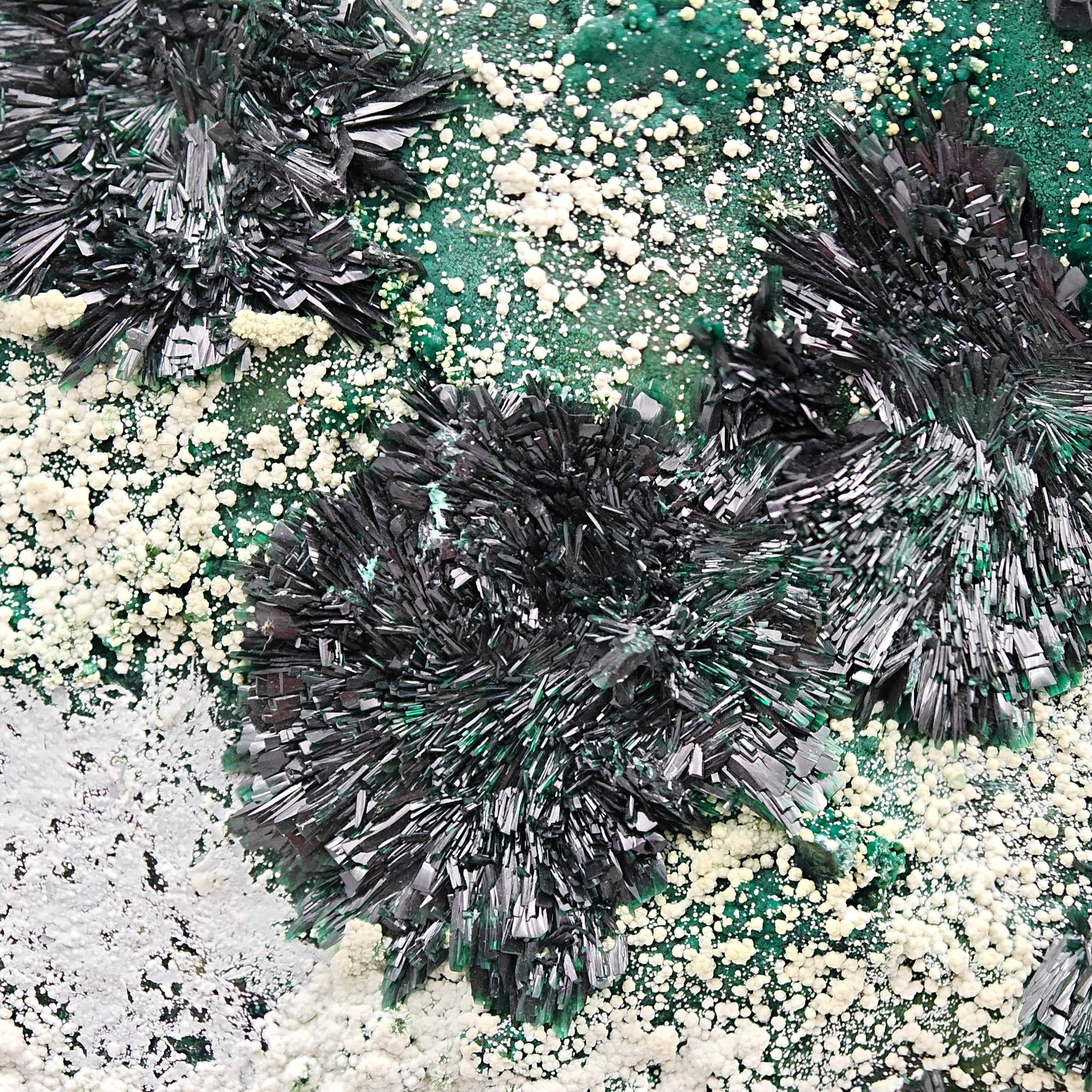 ATACAMITE – Rare Green Rays with Halloysite & Pseudomalachite, Atacama, Chile