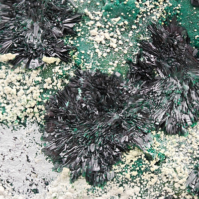 Atacamite crystal sprays with Halloysite patches on green matrix, Chile