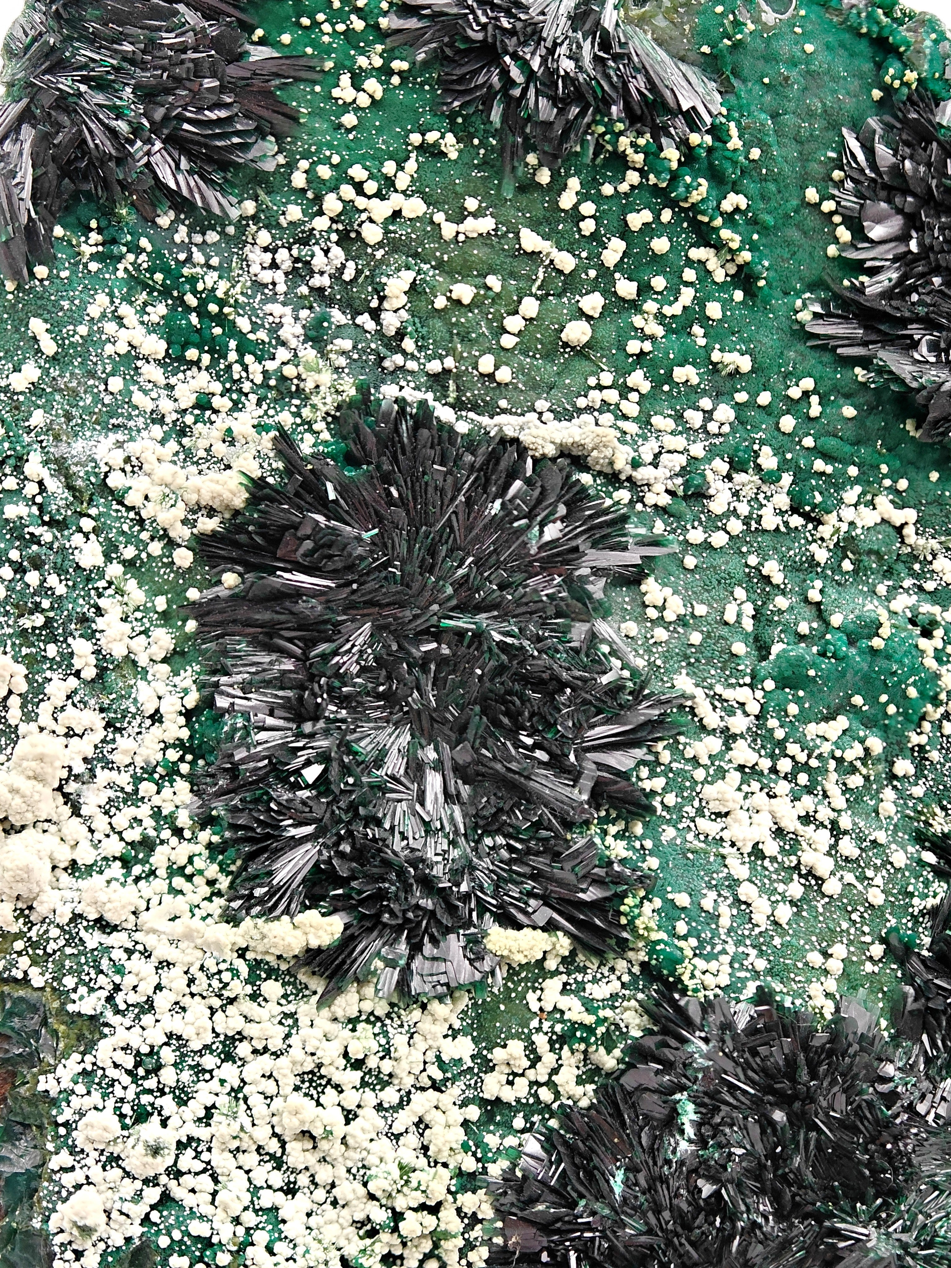 ATACAMITE – Rare Green Rays with Halloysite & Pseudomalachite, Atacama, Chile