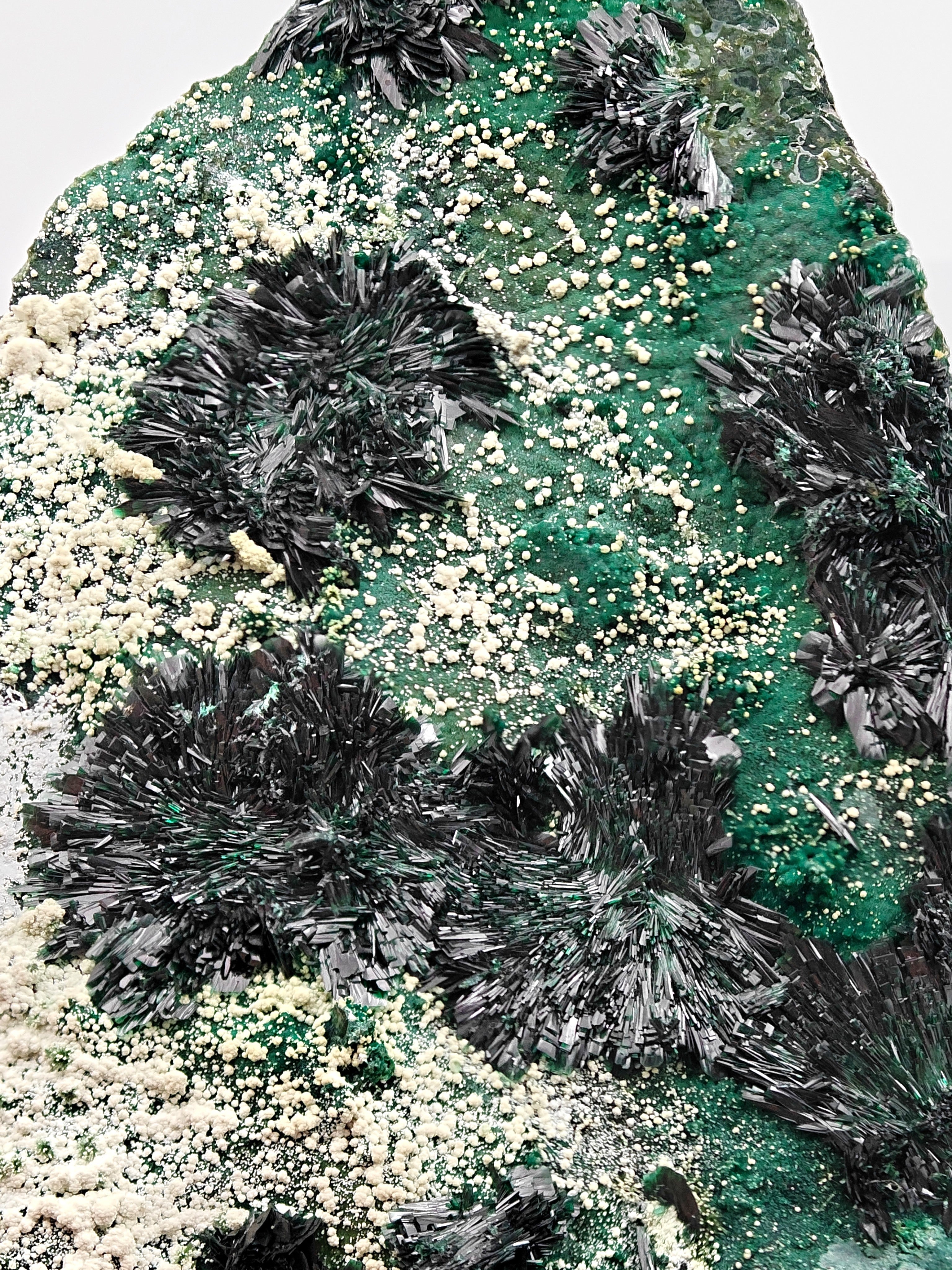 ATACAMITE – Rare Green Rays with Halloysite & Pseudomalachite, Atacama, Chile