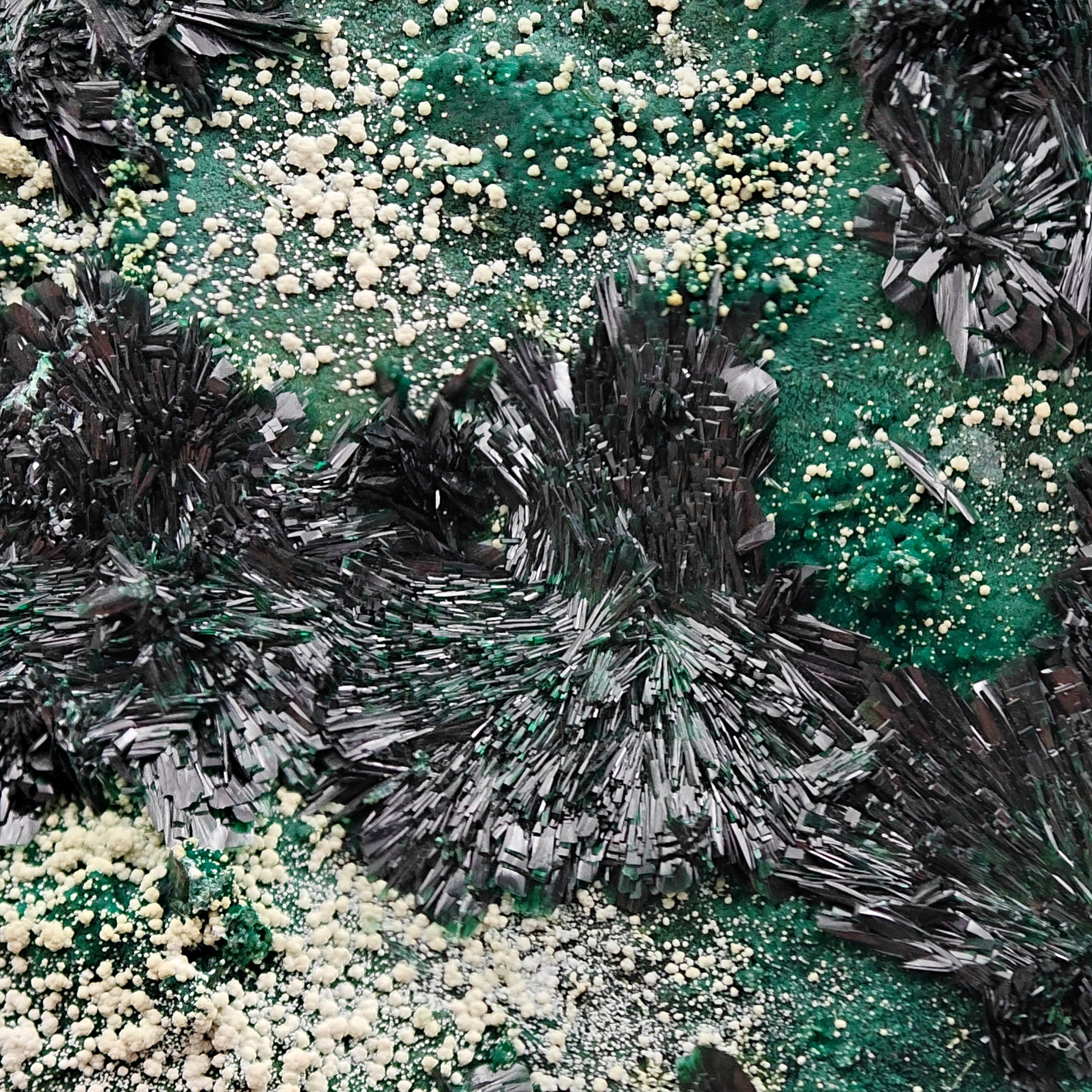 ATACAMITE – Rare Green Rays with Halloysite & Pseudomalachite, Atacama, Chile