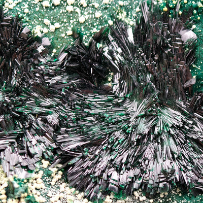 Detail of circular sunburst Atacamite crystal cluster, Atacama Region, Chile